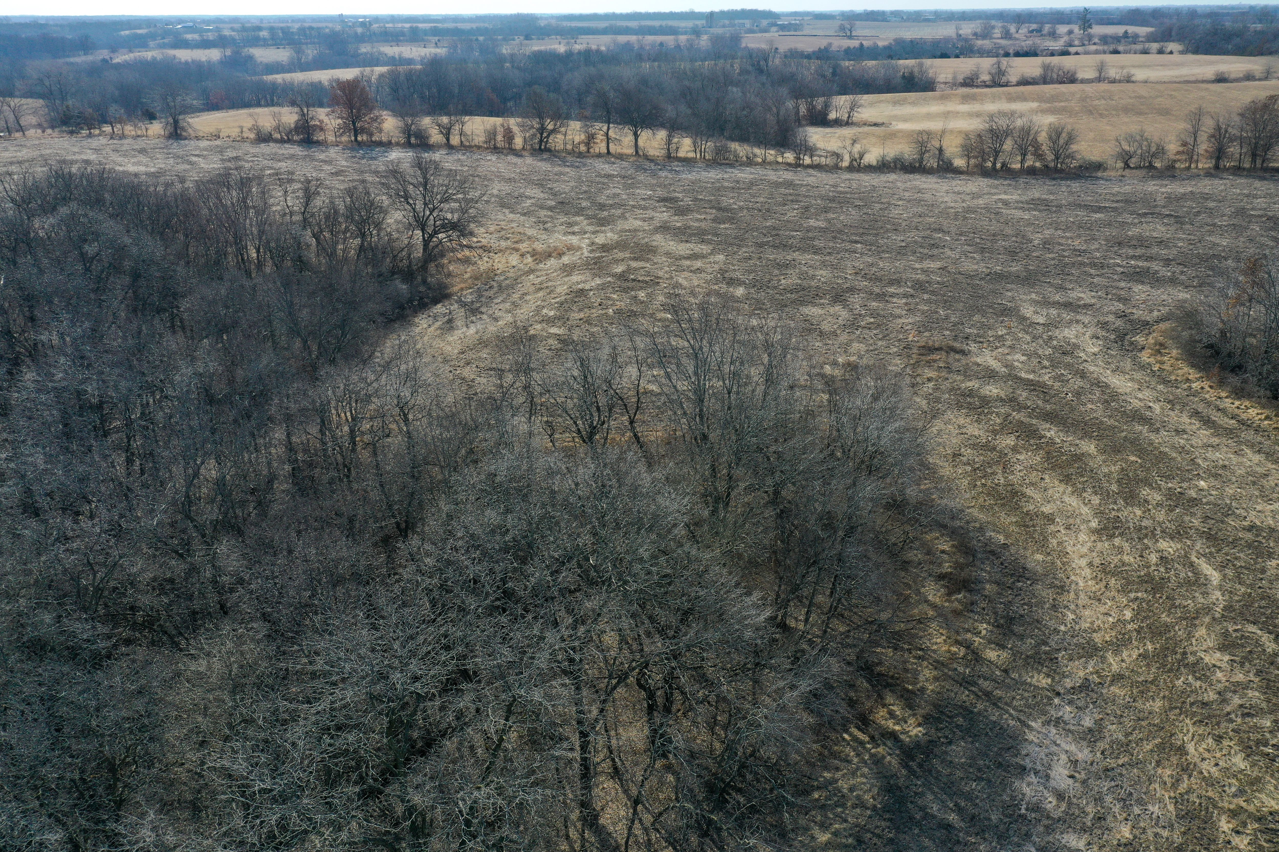 Listing Photo: 18135-DJI_0419