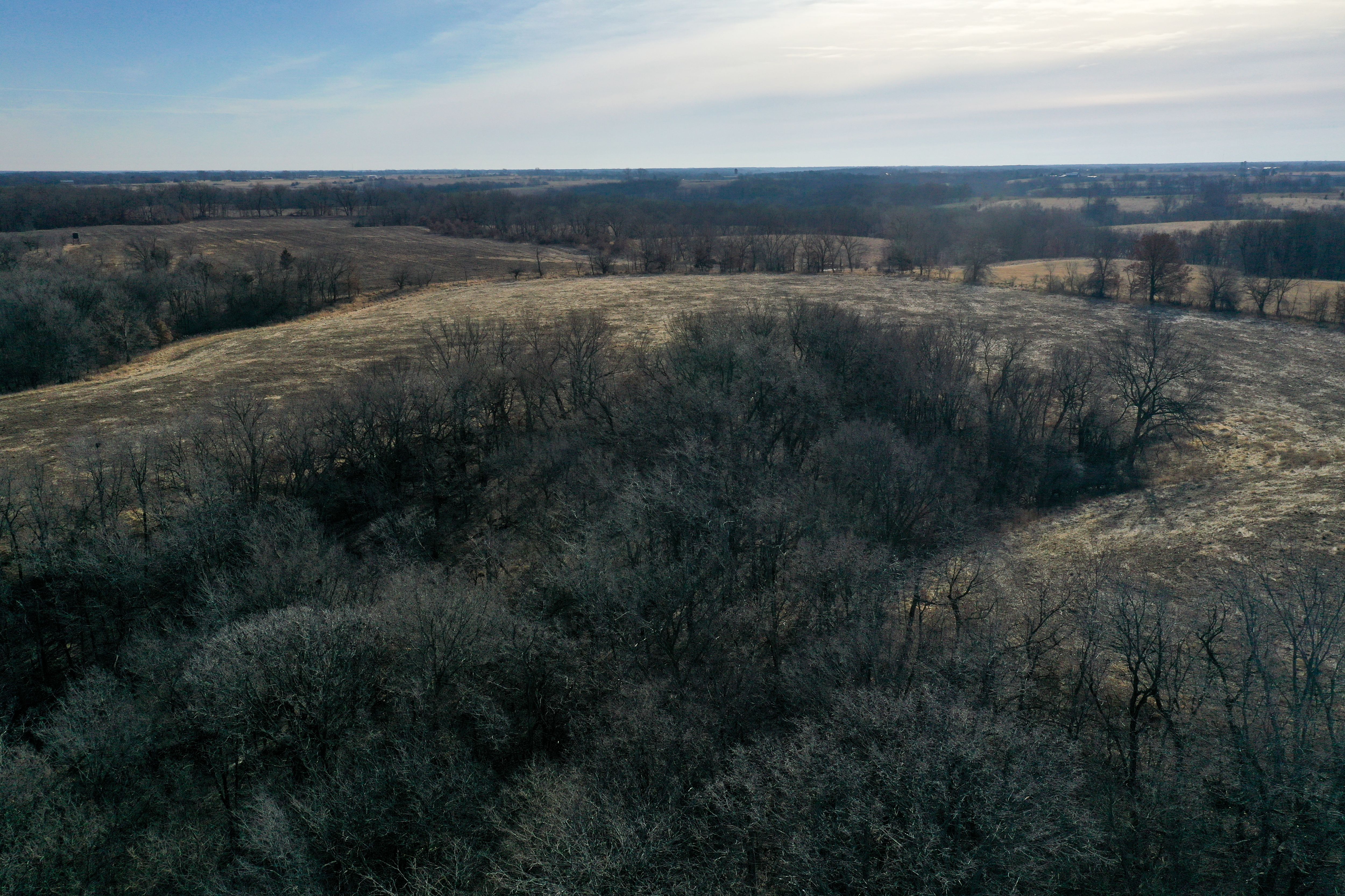 Listing Photo: 18135-DJI_0420