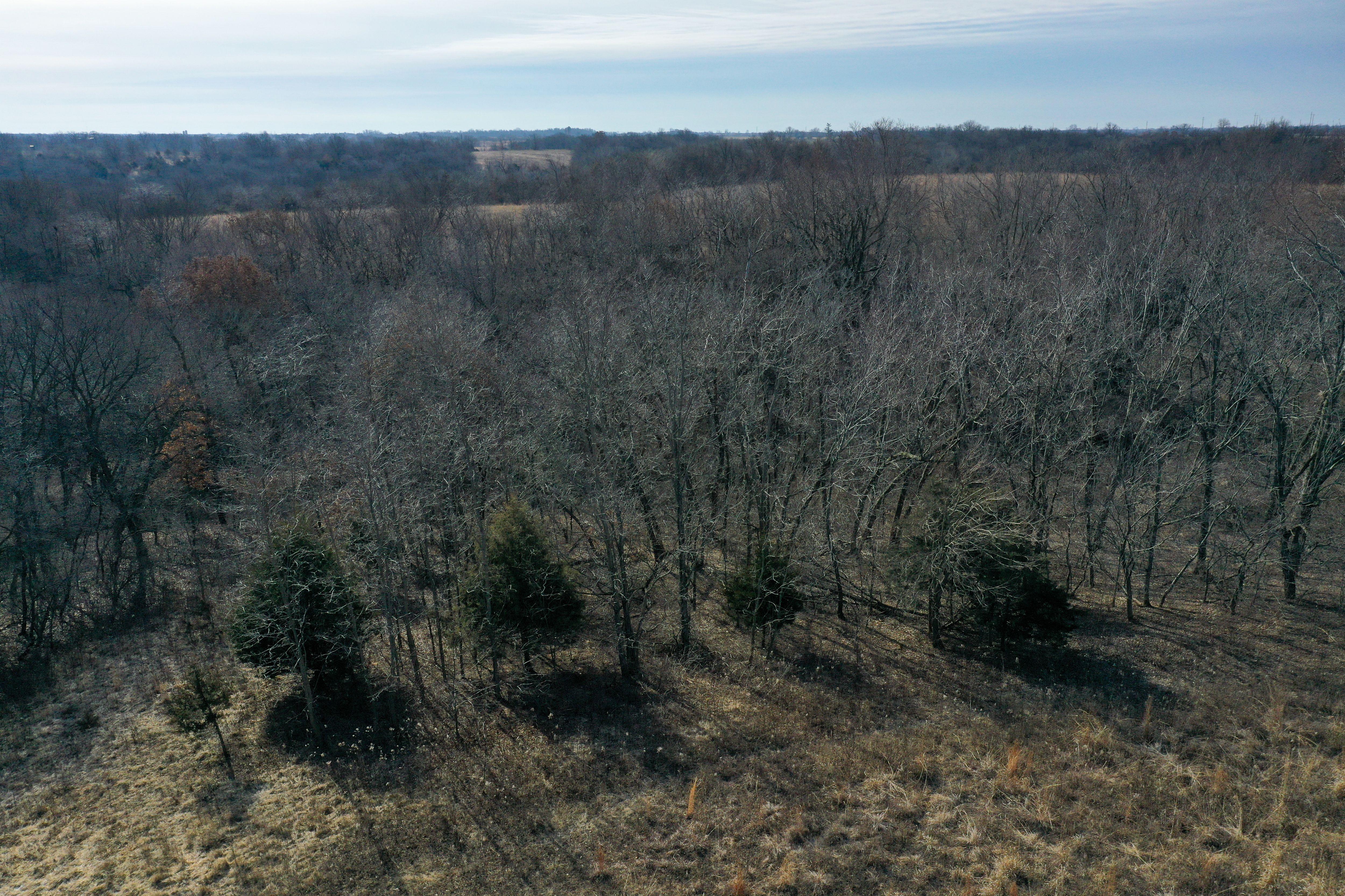 Listing Photo: 18135-DJI_0433