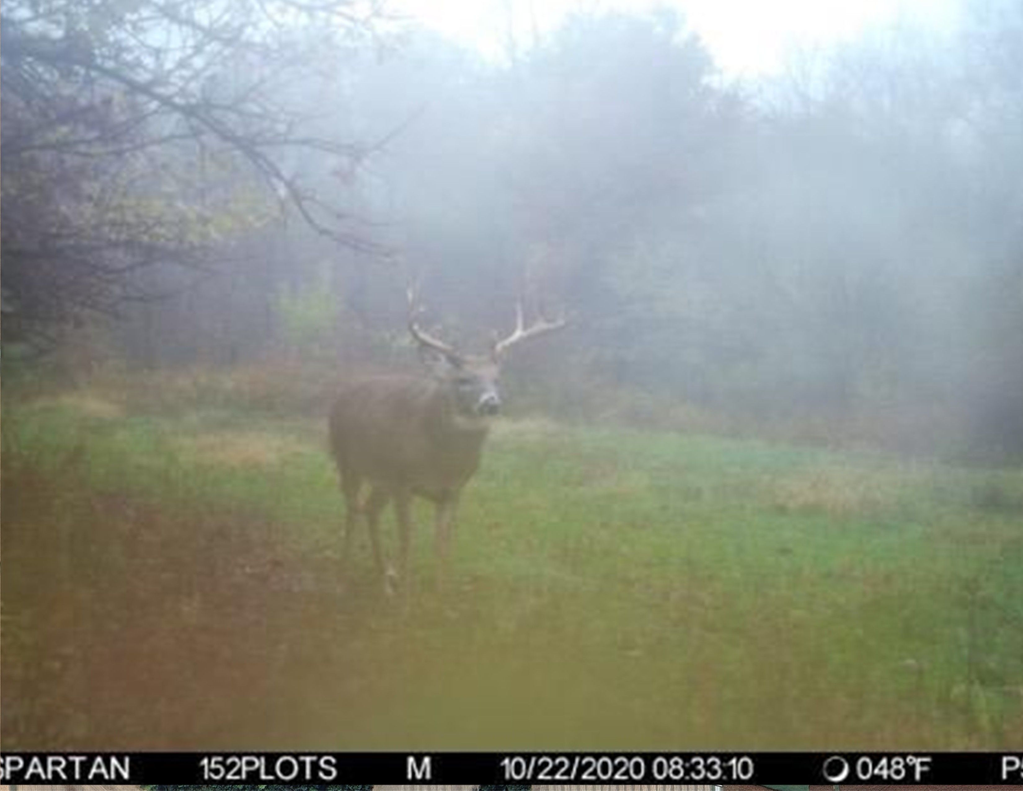 Listing Photo: 18135-IMAG1632