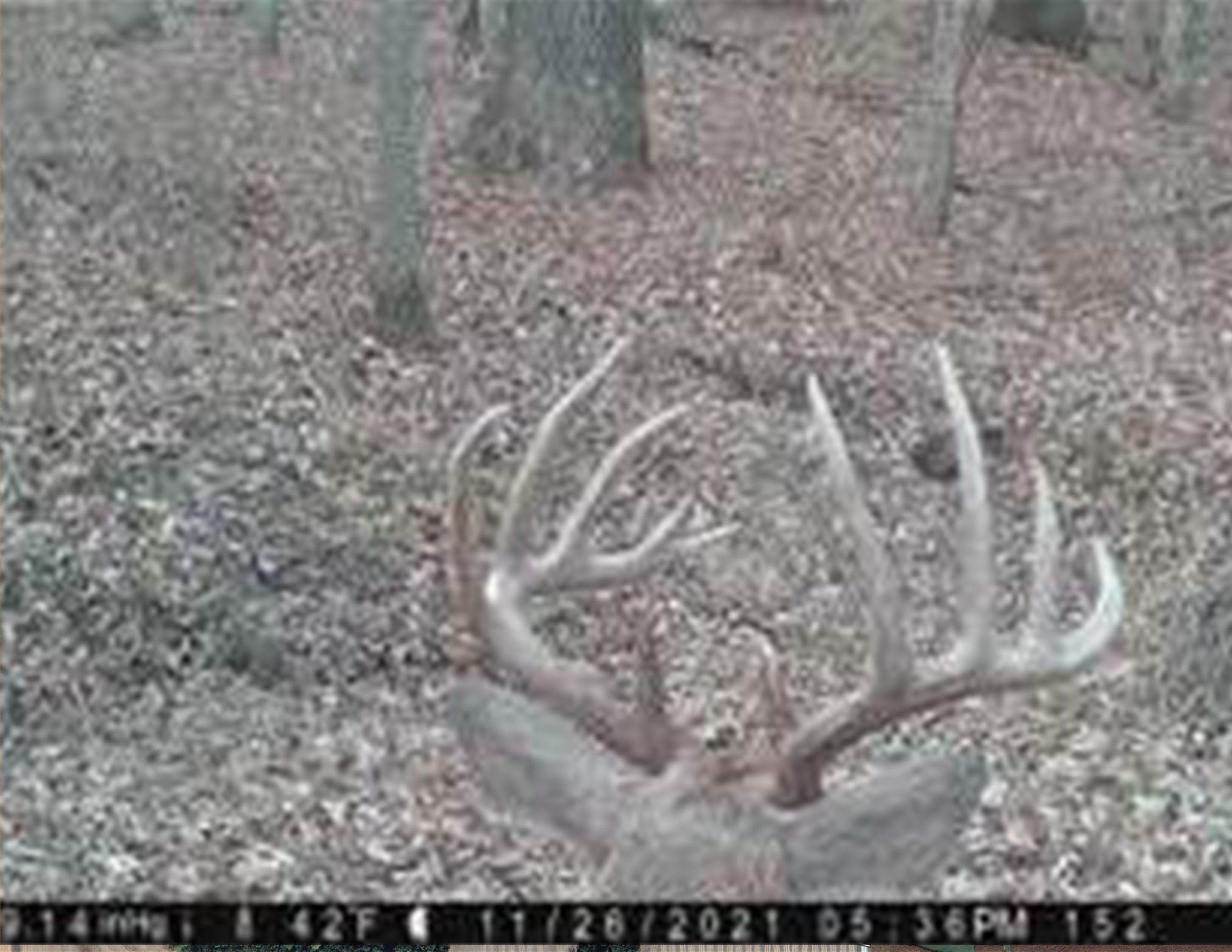 Listing Photo: 18135-IMG_0436