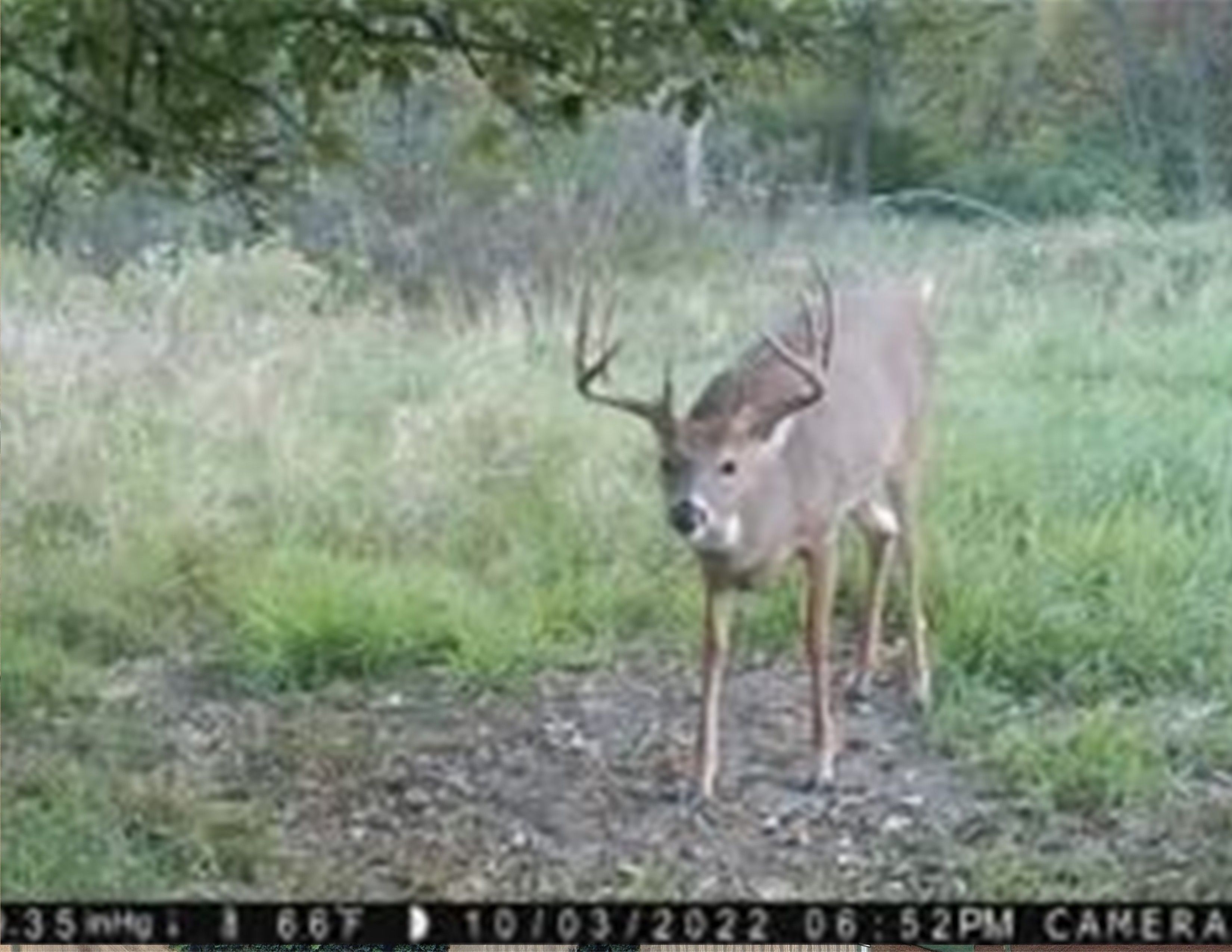 Listing Photo: 18135-IMG_0493