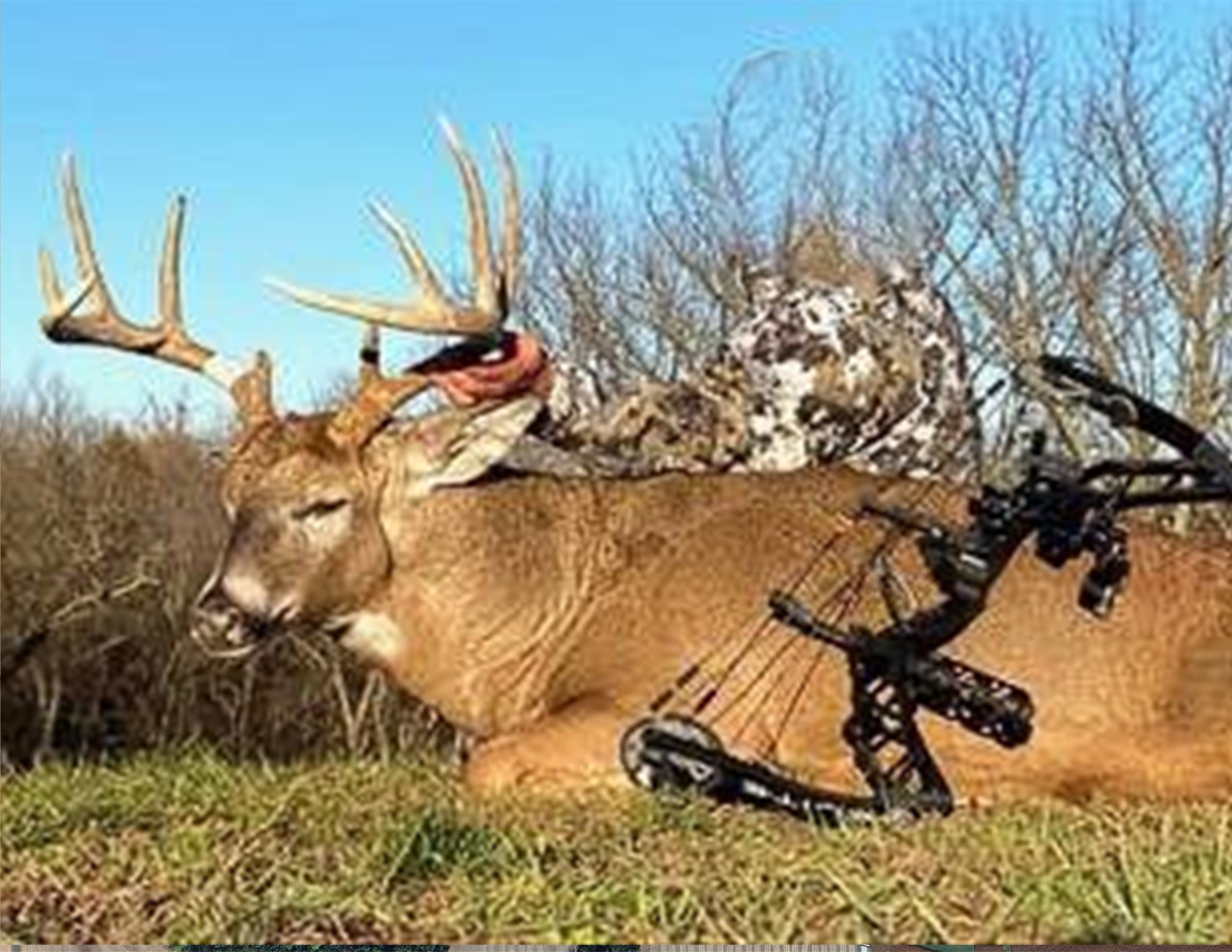 Listing Photo: 18135-IMG_0527-2