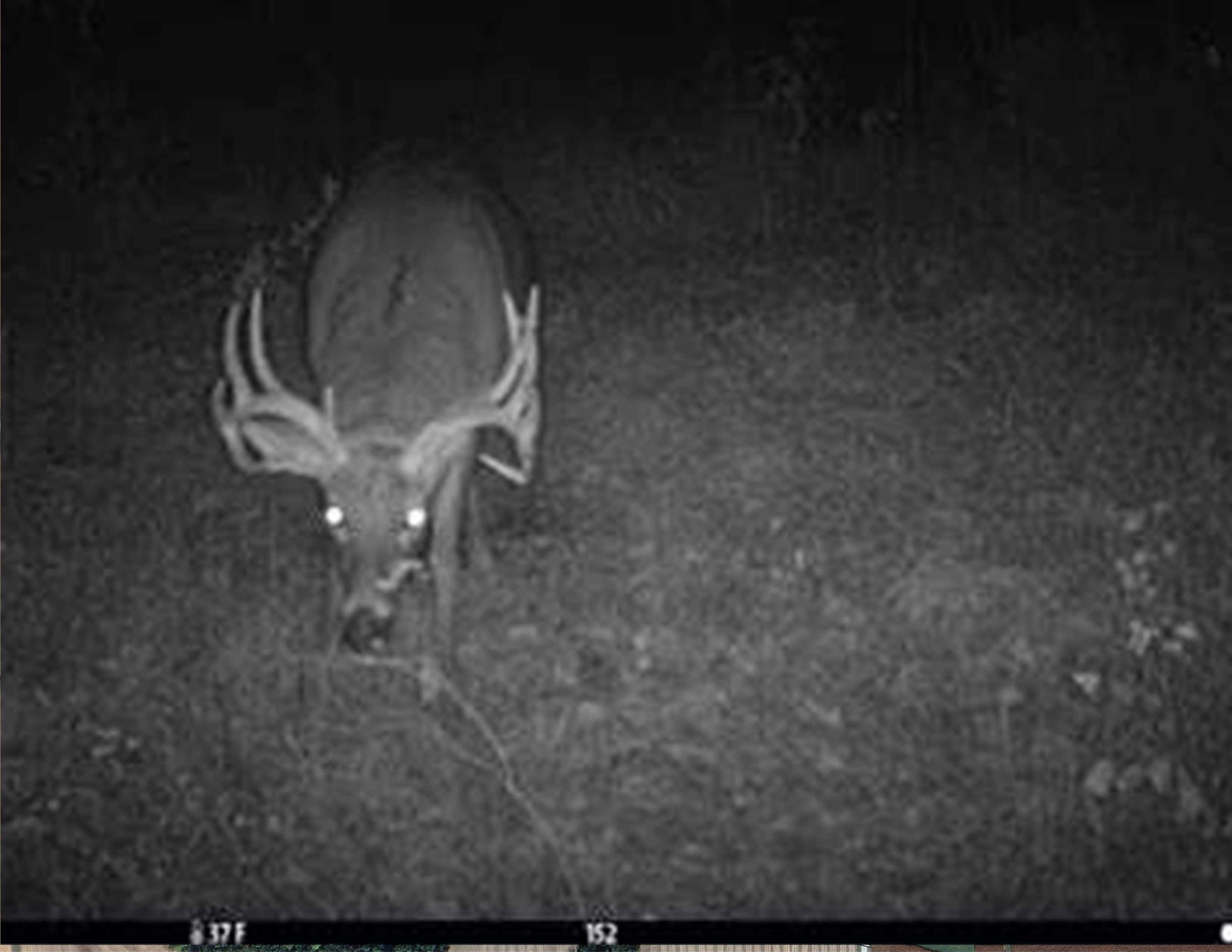 Listing Photo: 18135-IMG_3129