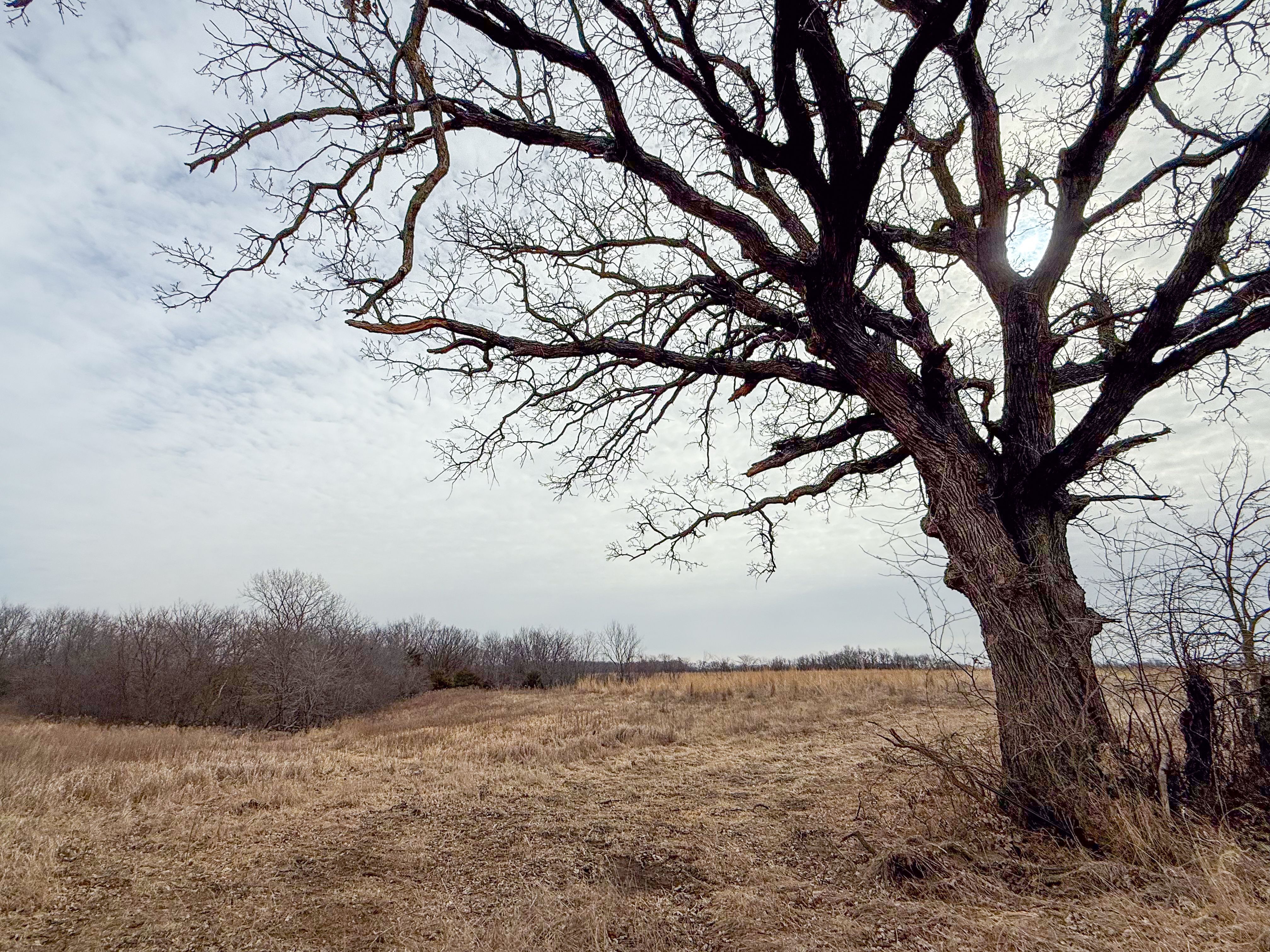 Listing Photo: 18135-IMG_8642