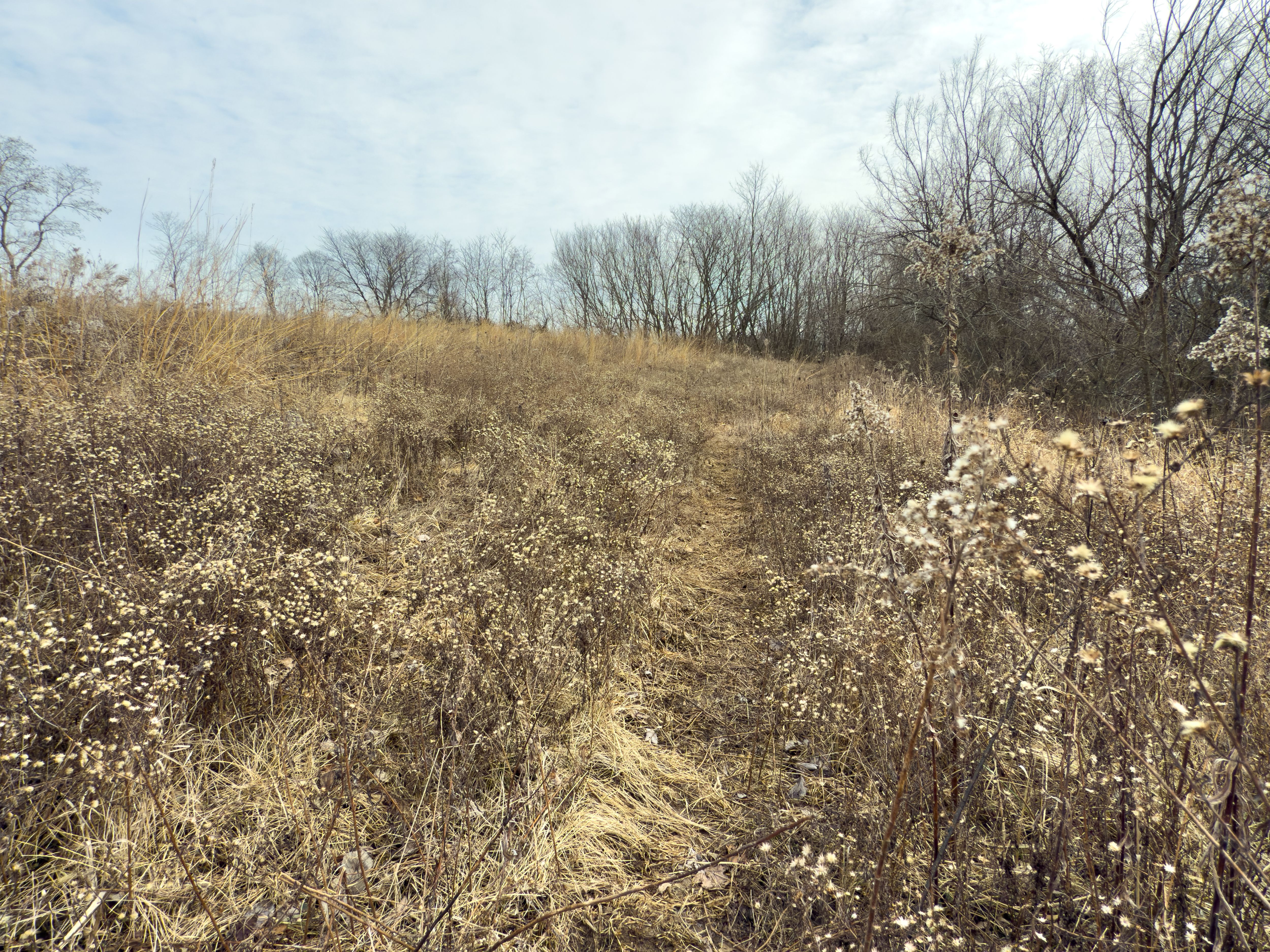 Listing Photo: 18135-IMG_8644