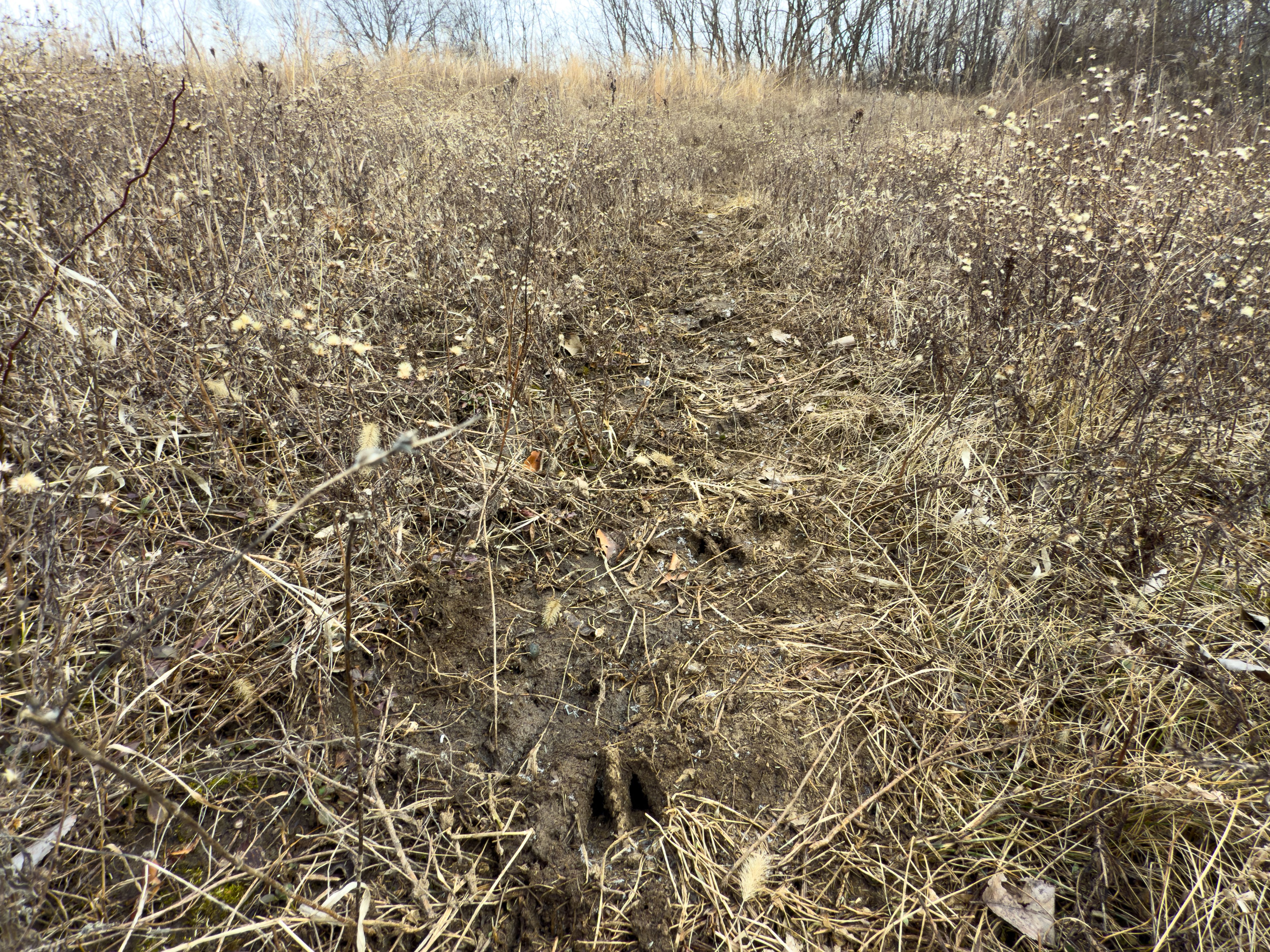 Listing Photo: 18135-IMG_8646