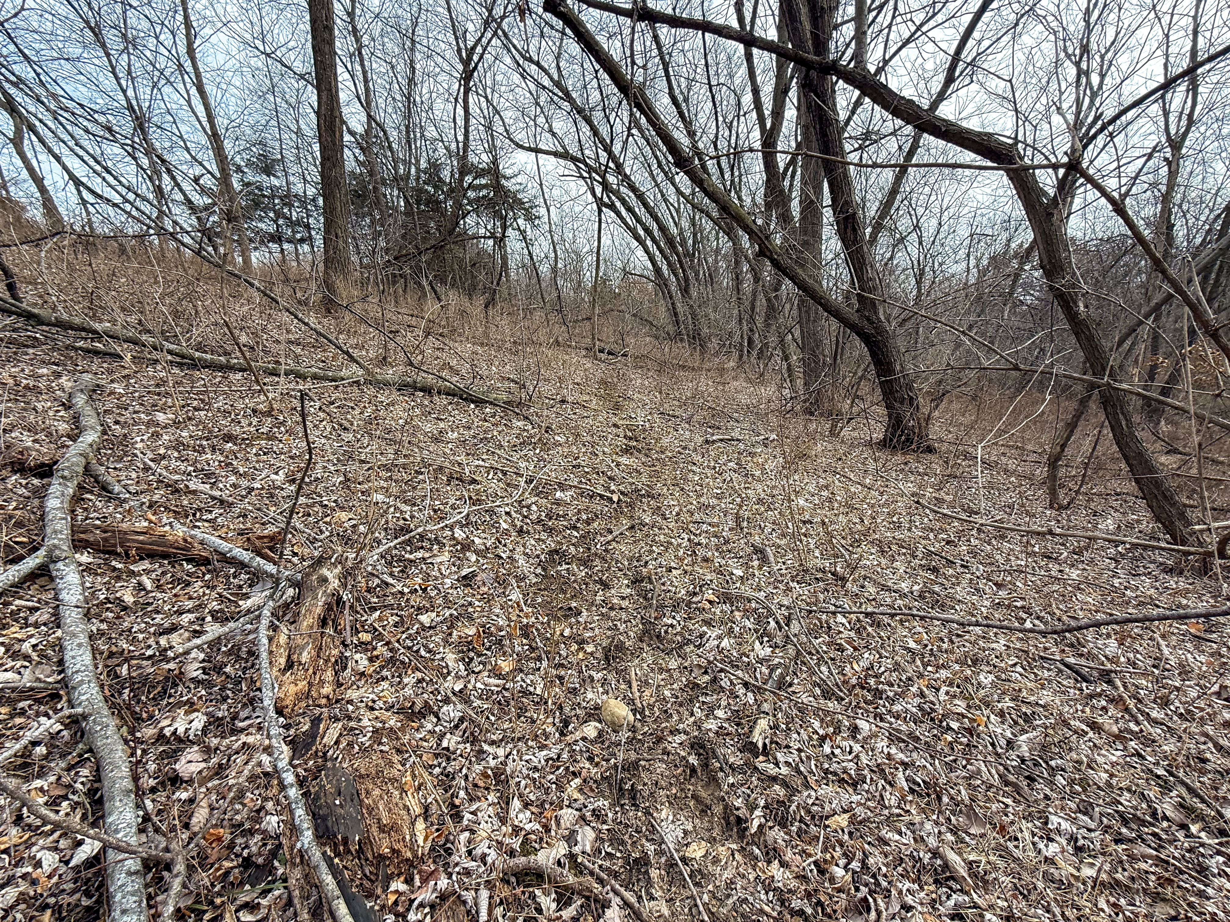 Listing Photo: 18135-IMG_8649