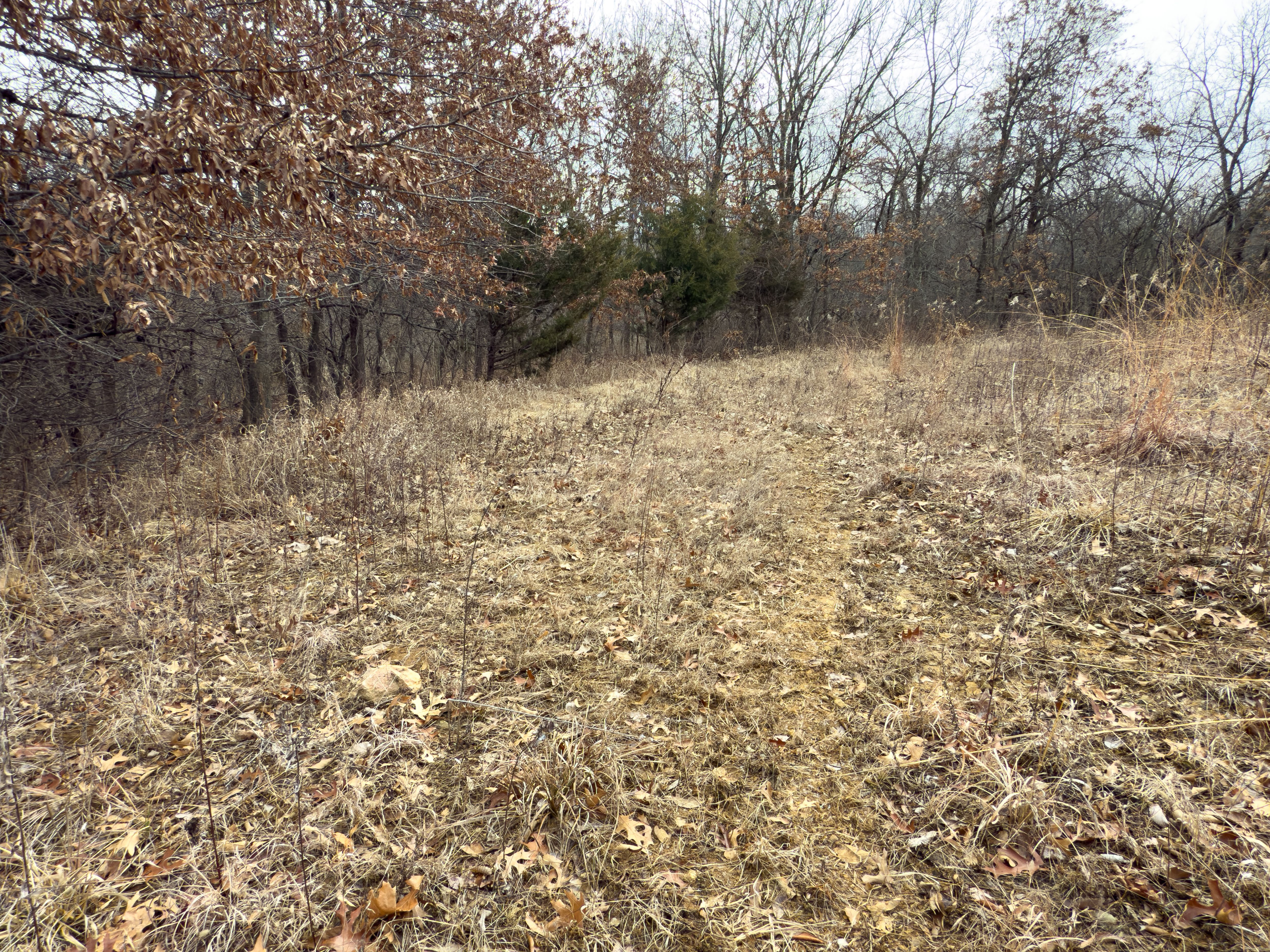 Listing Photo: 18135-IMG_8652