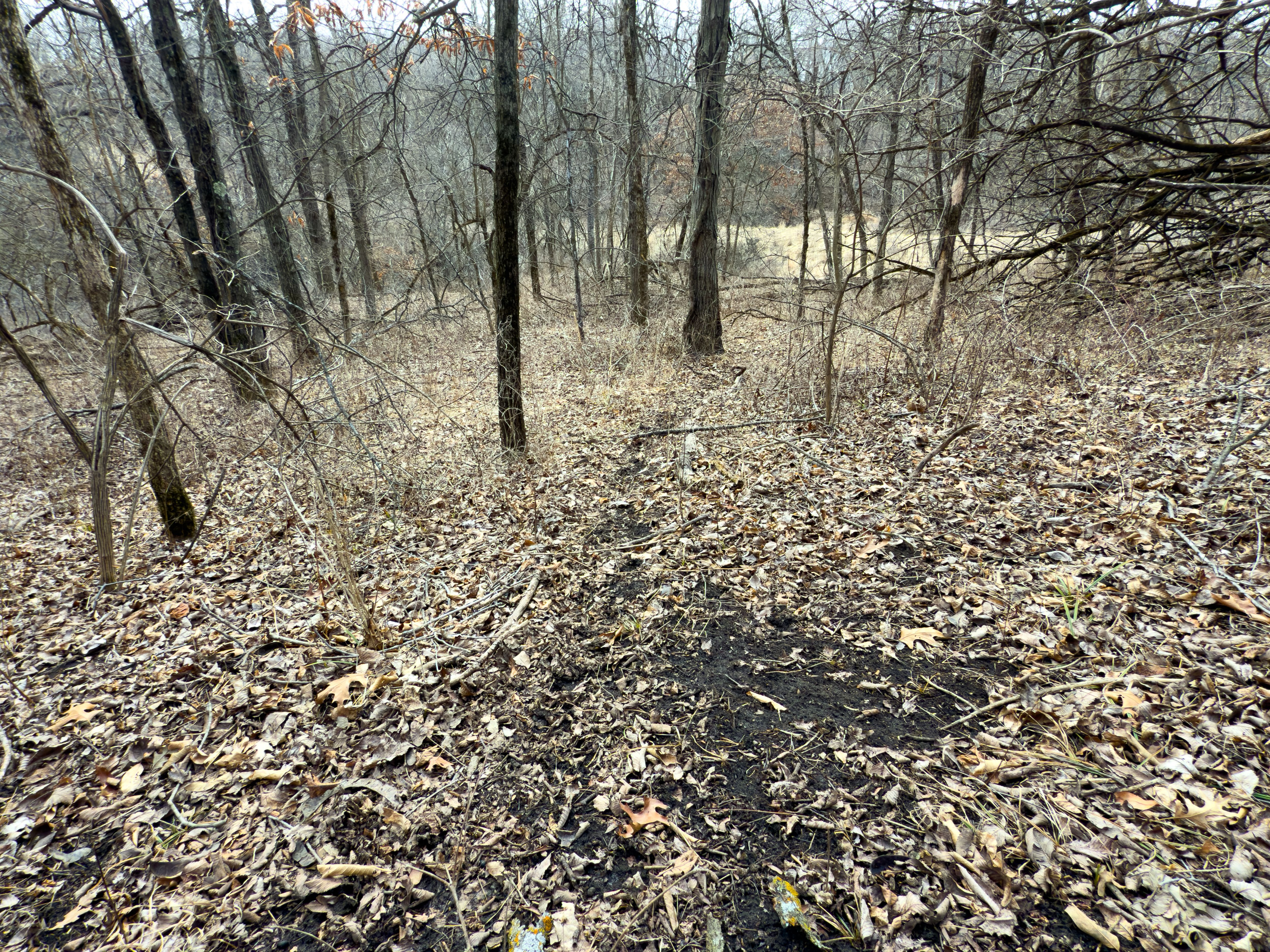 Listing Photo: 18135-IMG_8665