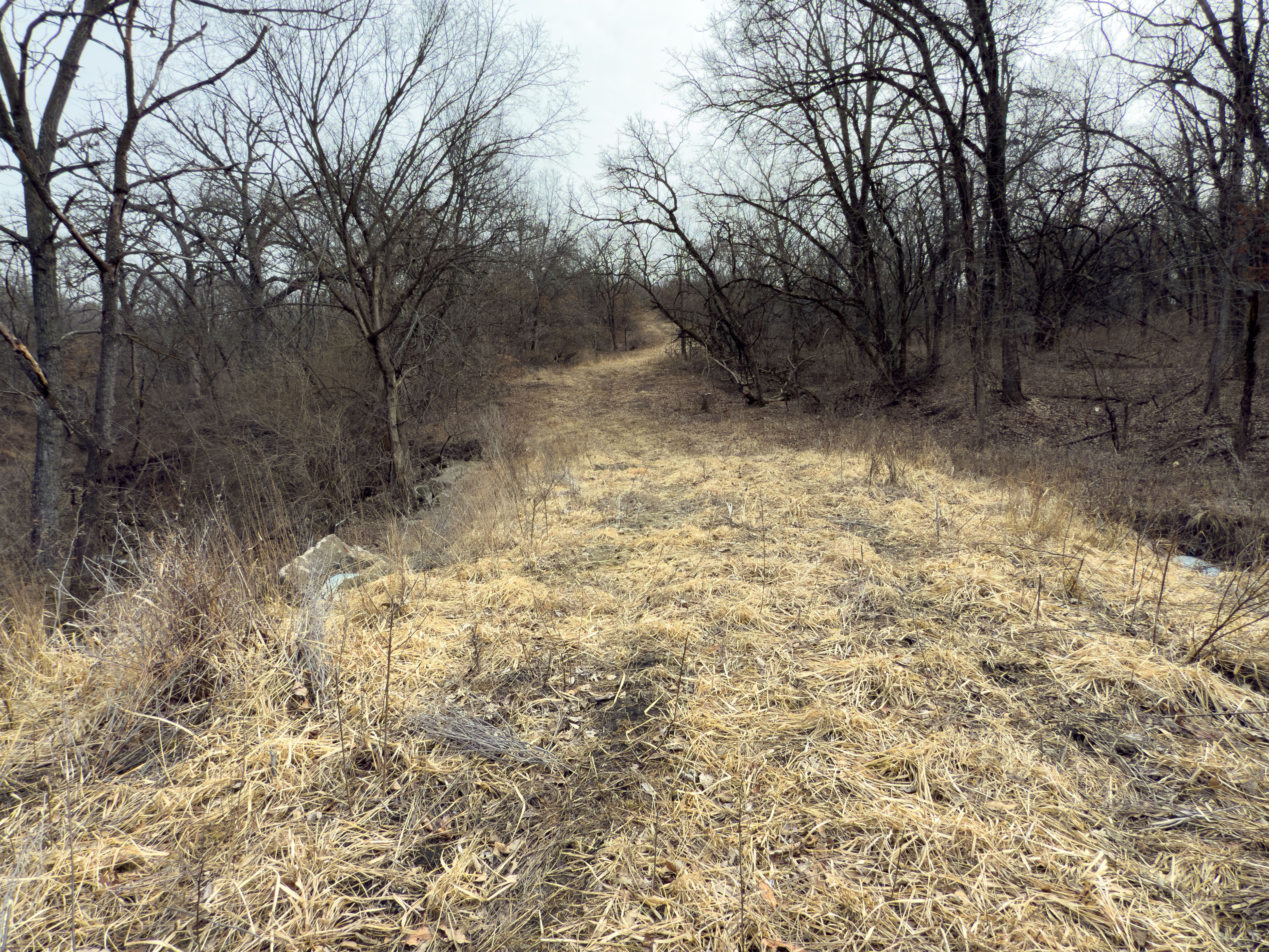 Listing Photo: 18135-IMG_8668