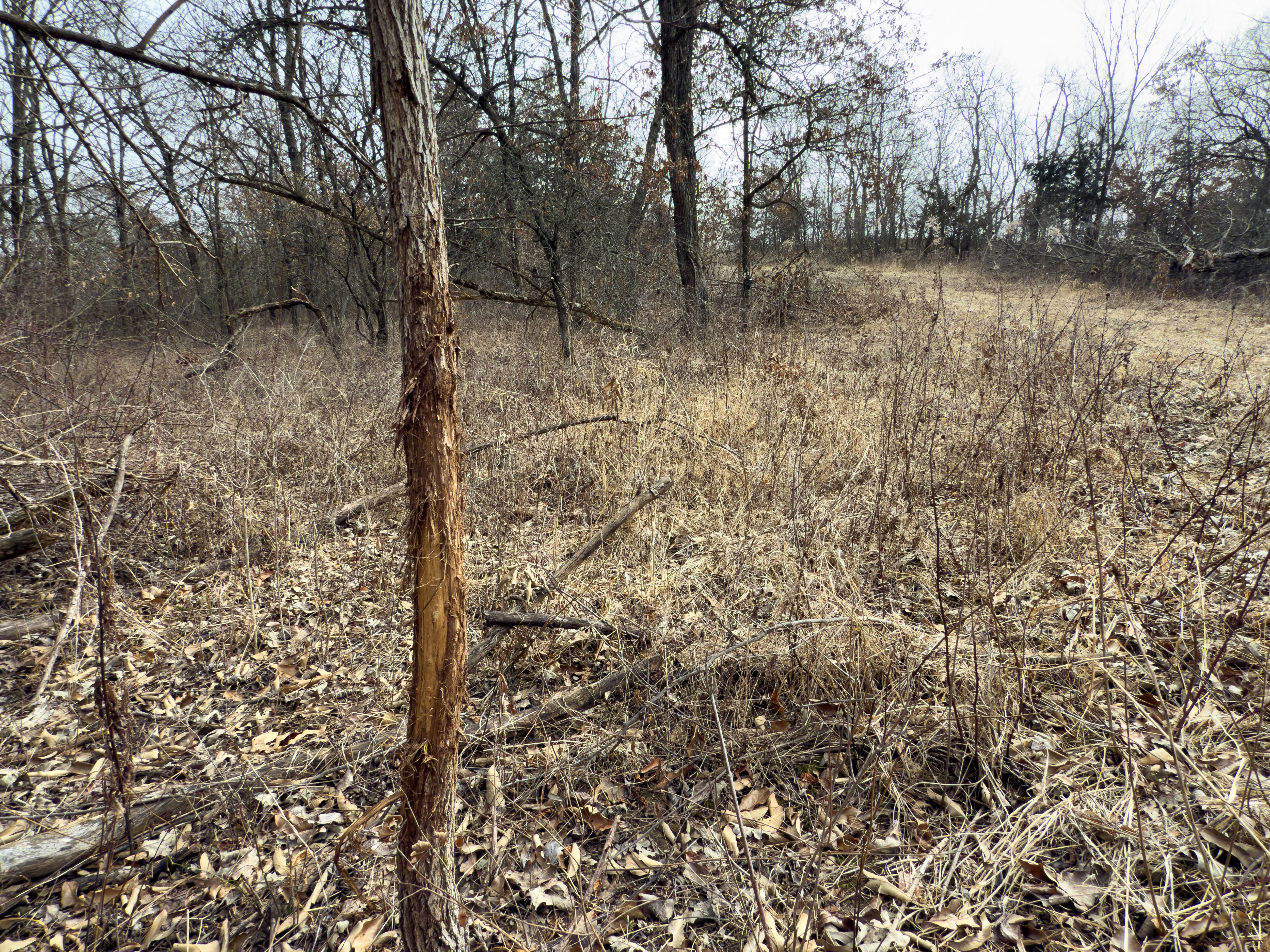 Listing Photo: 18135-IMG_8670