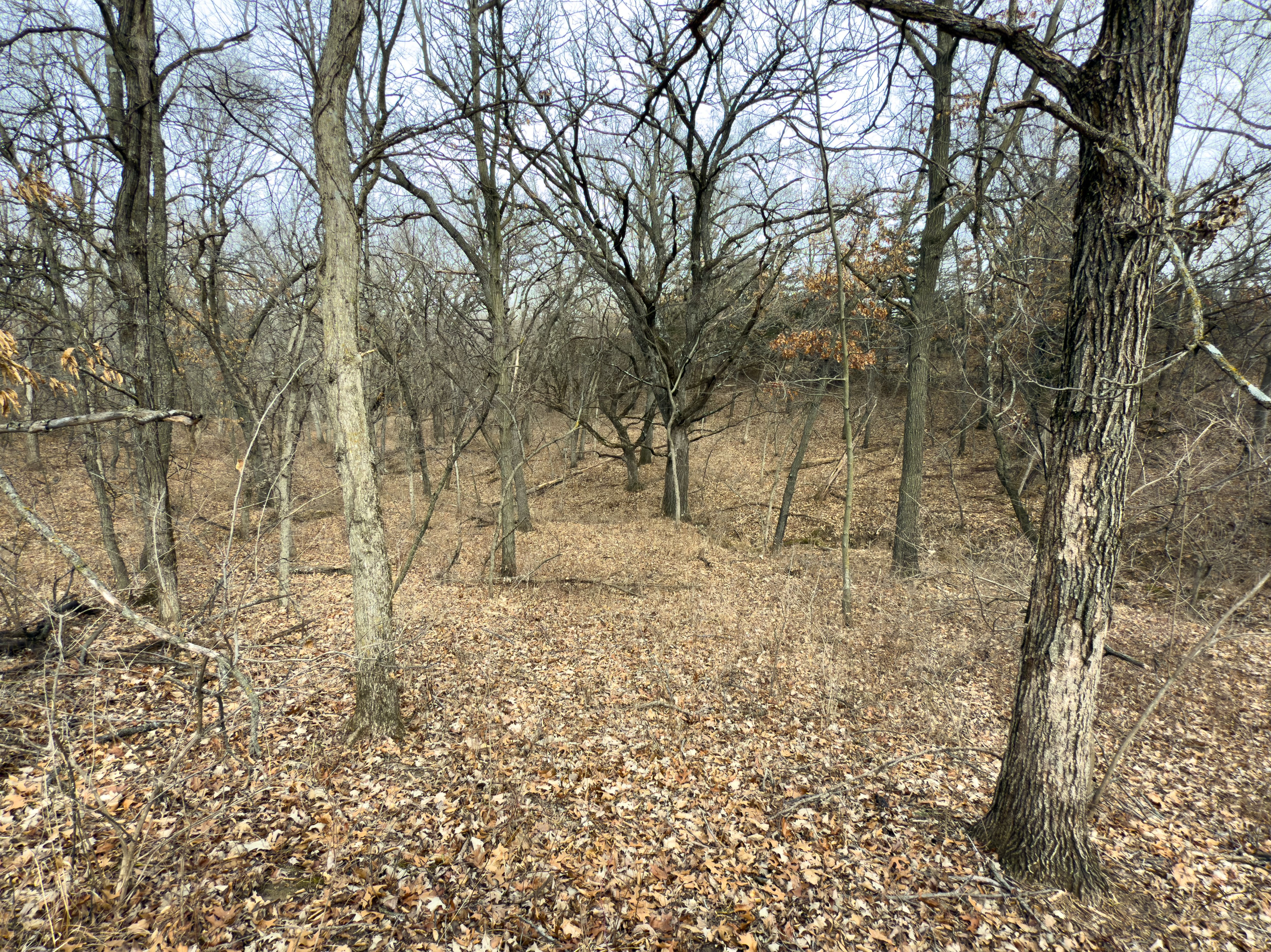 Listing Photo: 18135-IMG_8674