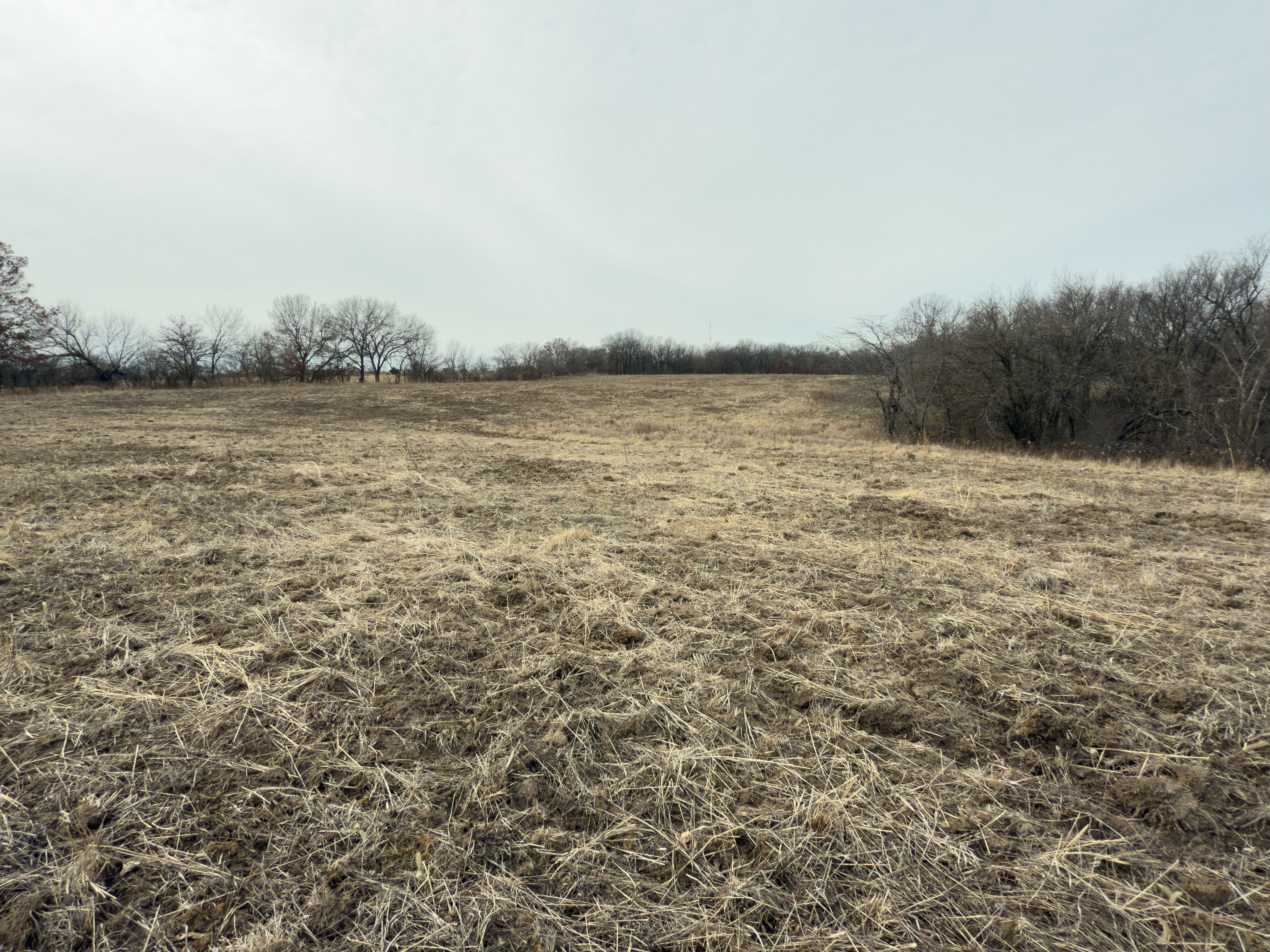 Listing Photo: 18135-IMG_8675