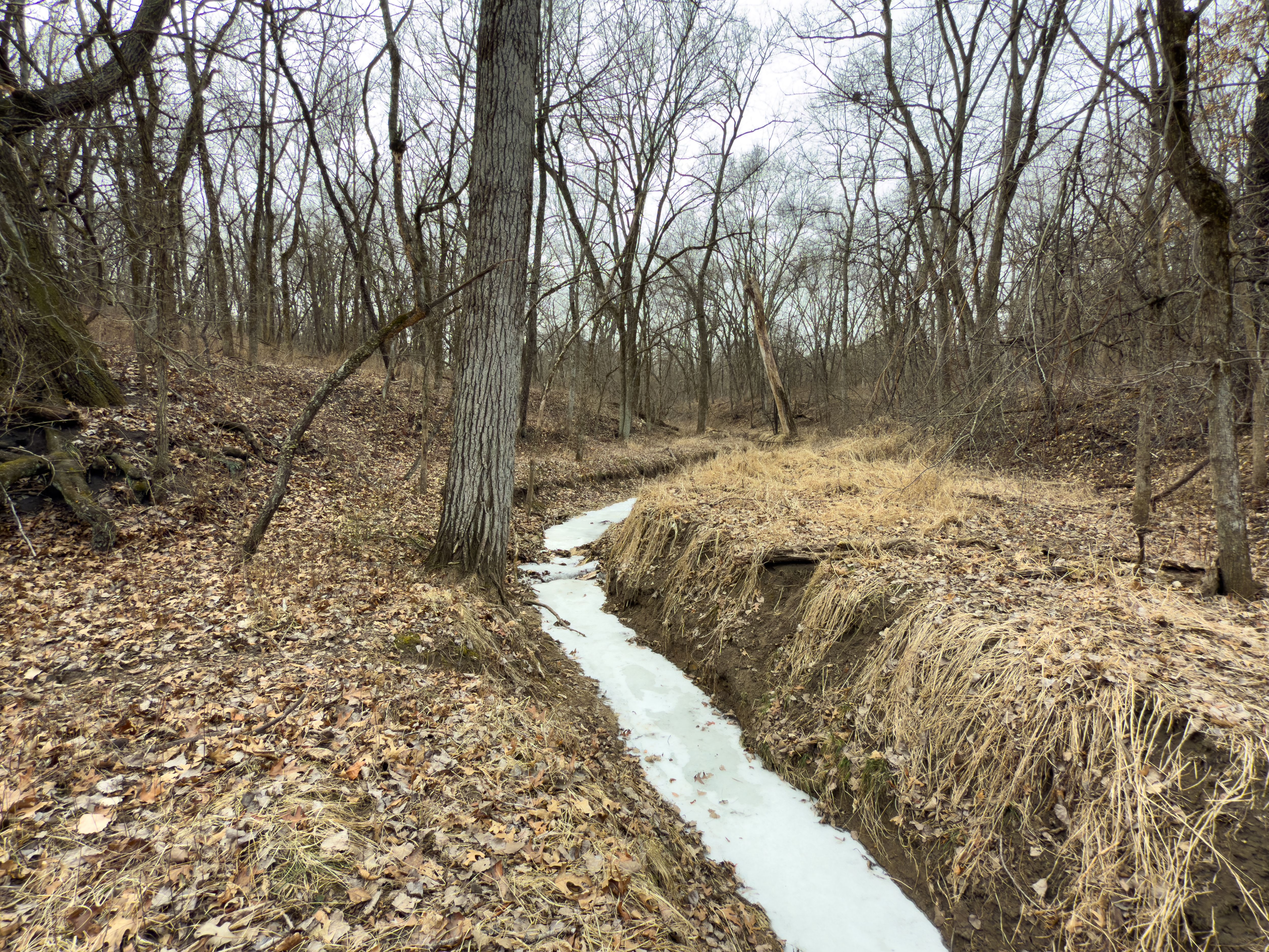 Listing Photo: 18135-IMG_8682