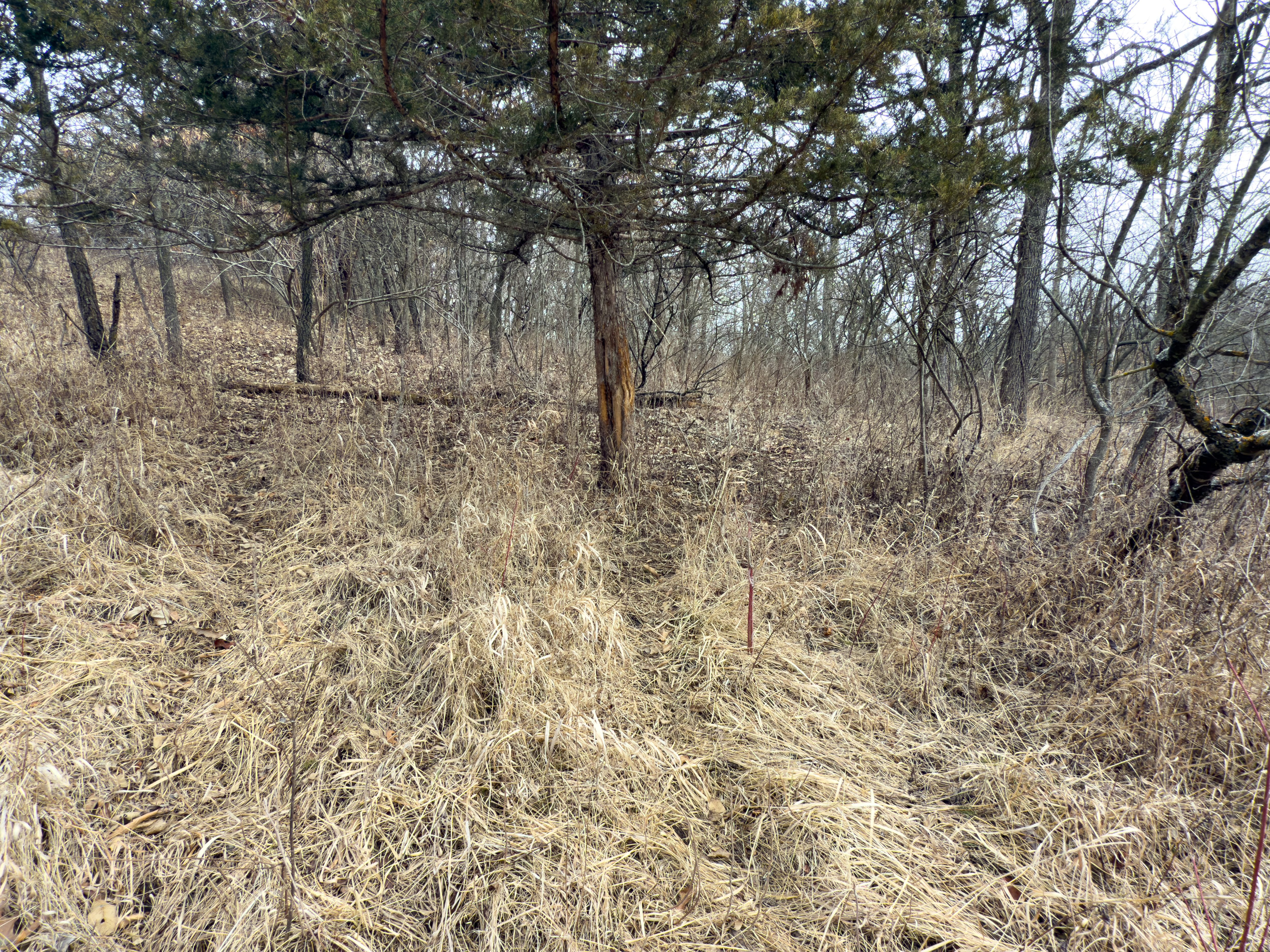 Listing Photo: 18135-IMG_8685