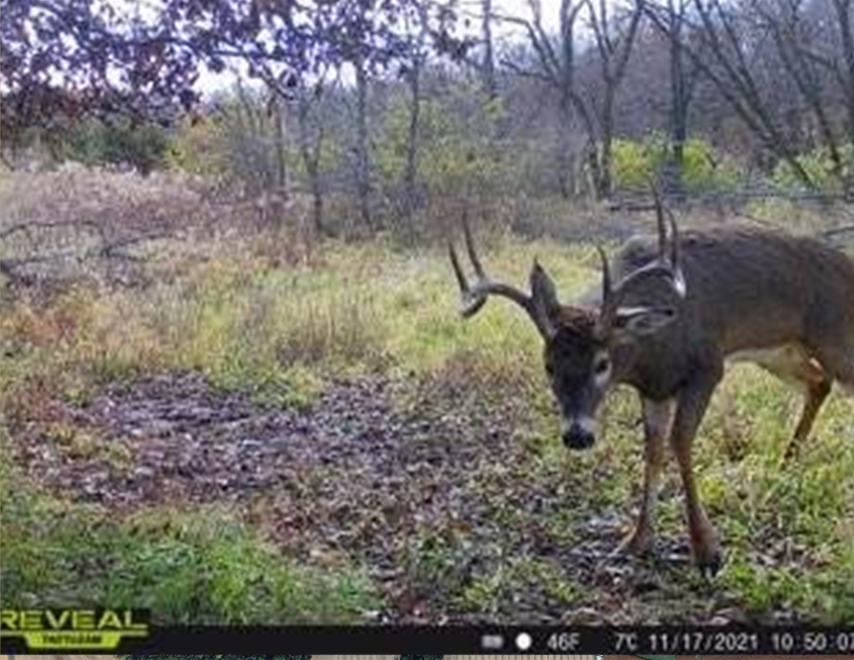 Listing Photo: 18135-SYEW0050