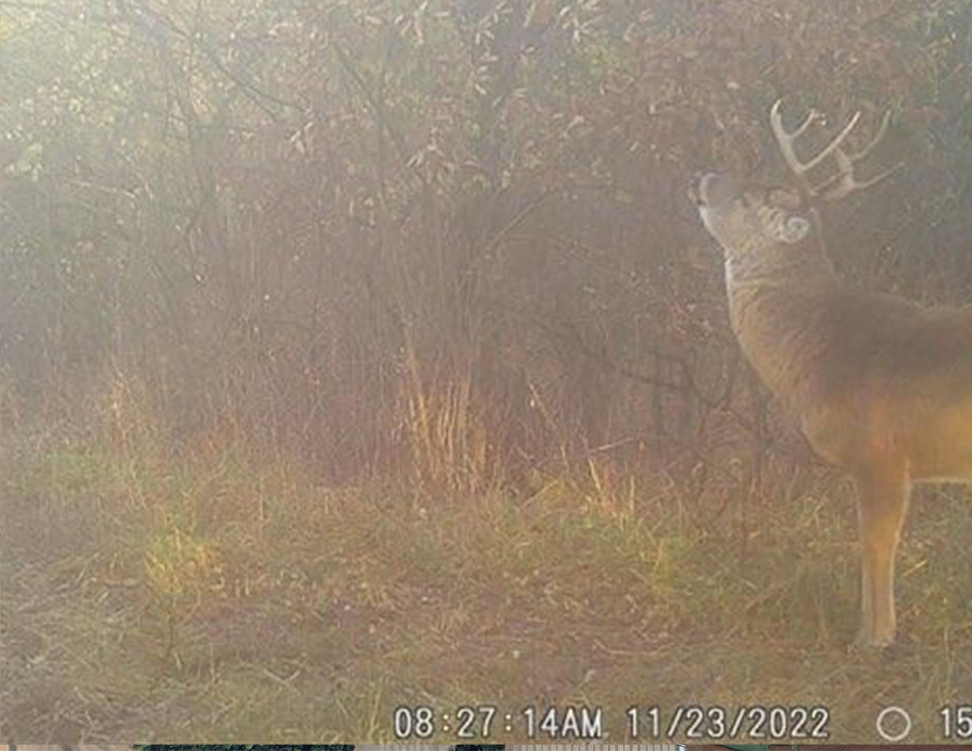 Listing Photo: 18135-WGI_0026