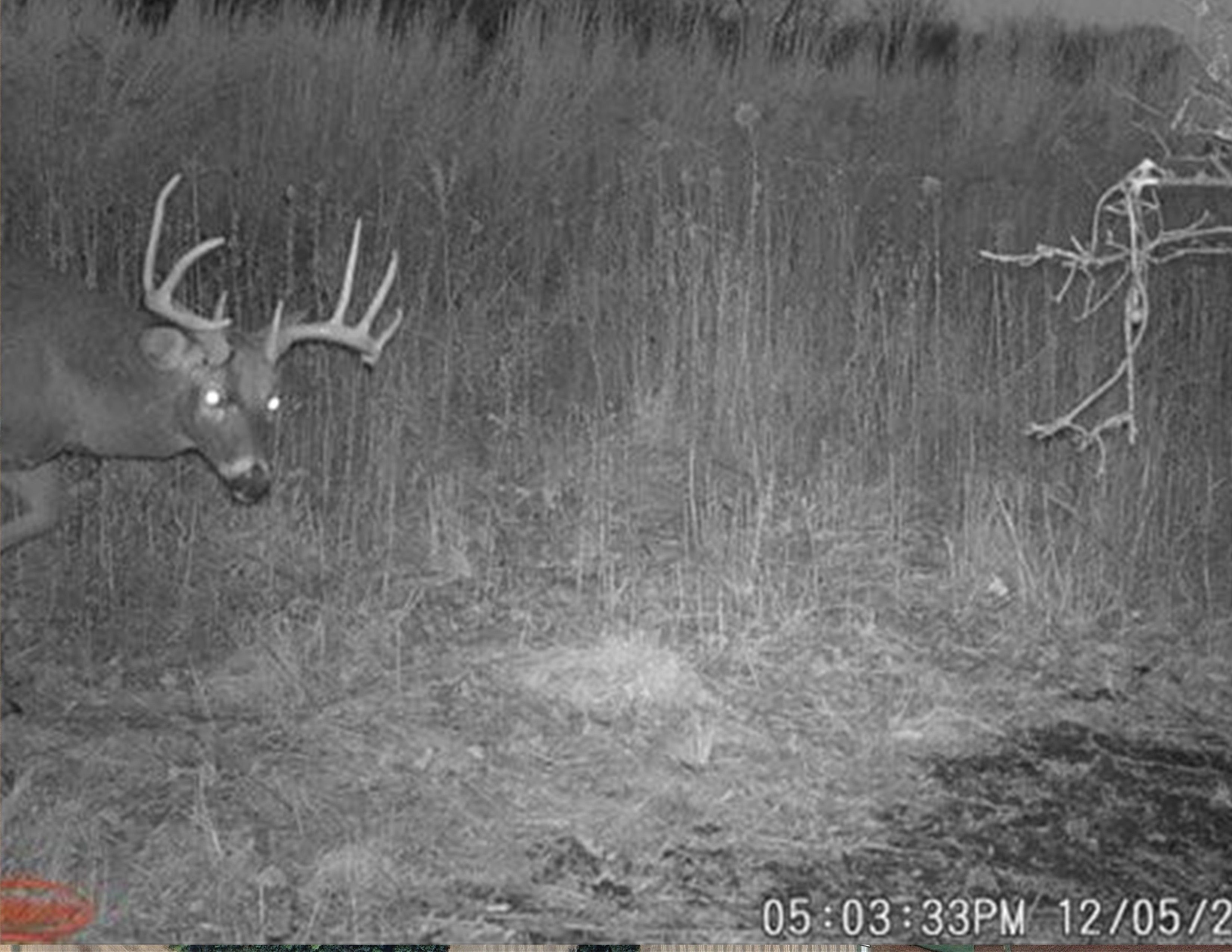 Listing Photo: 18135-WGI_0534