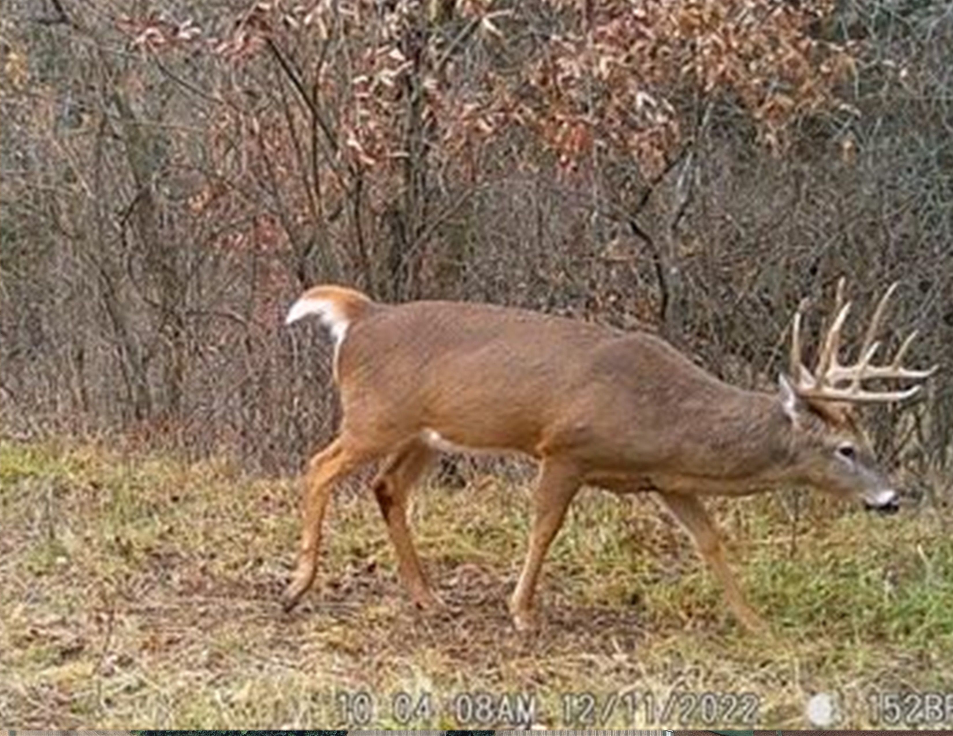 Listing Photo: 18135-WGI_0603