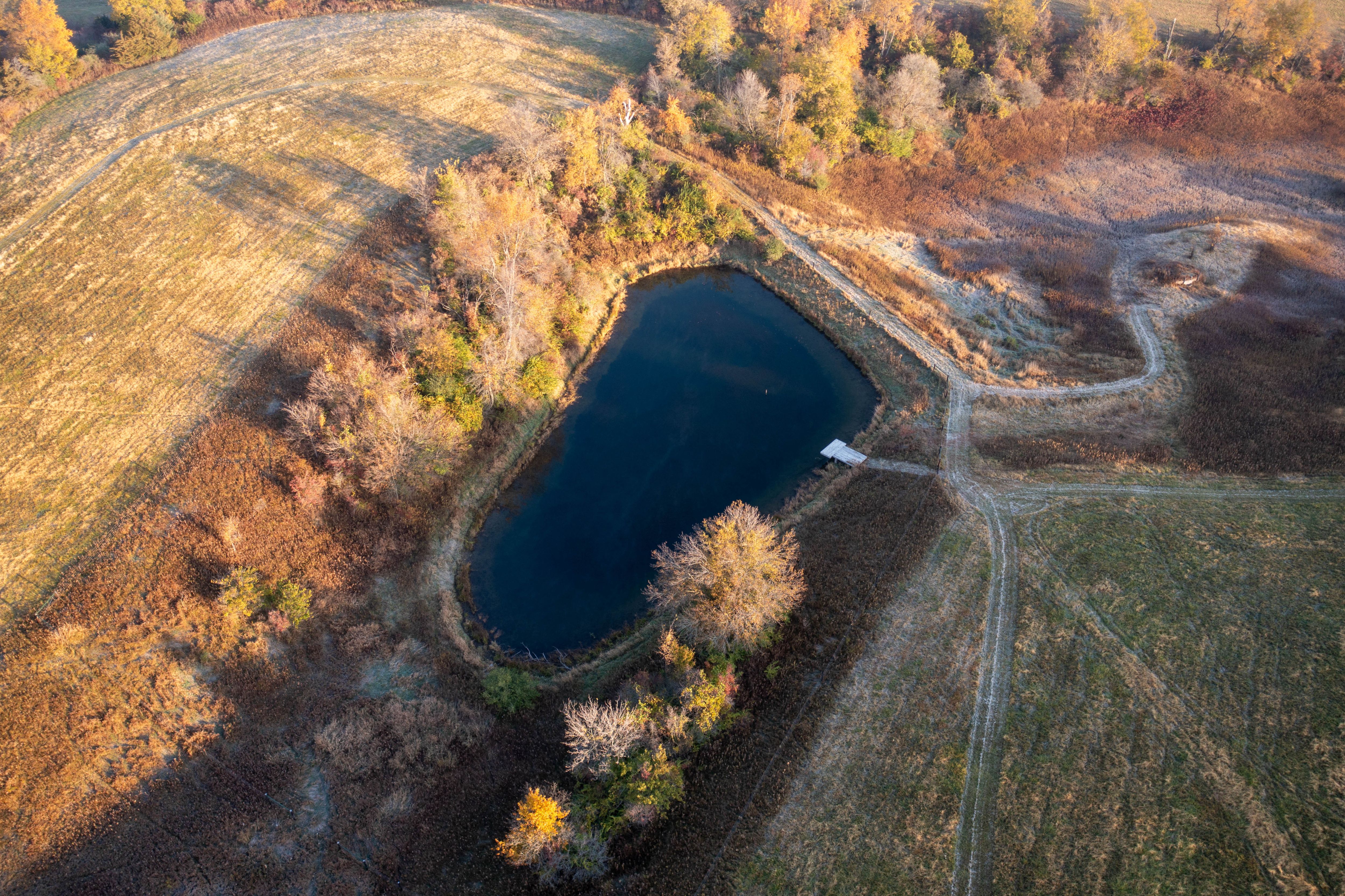 Listing Photo: DJI_0888