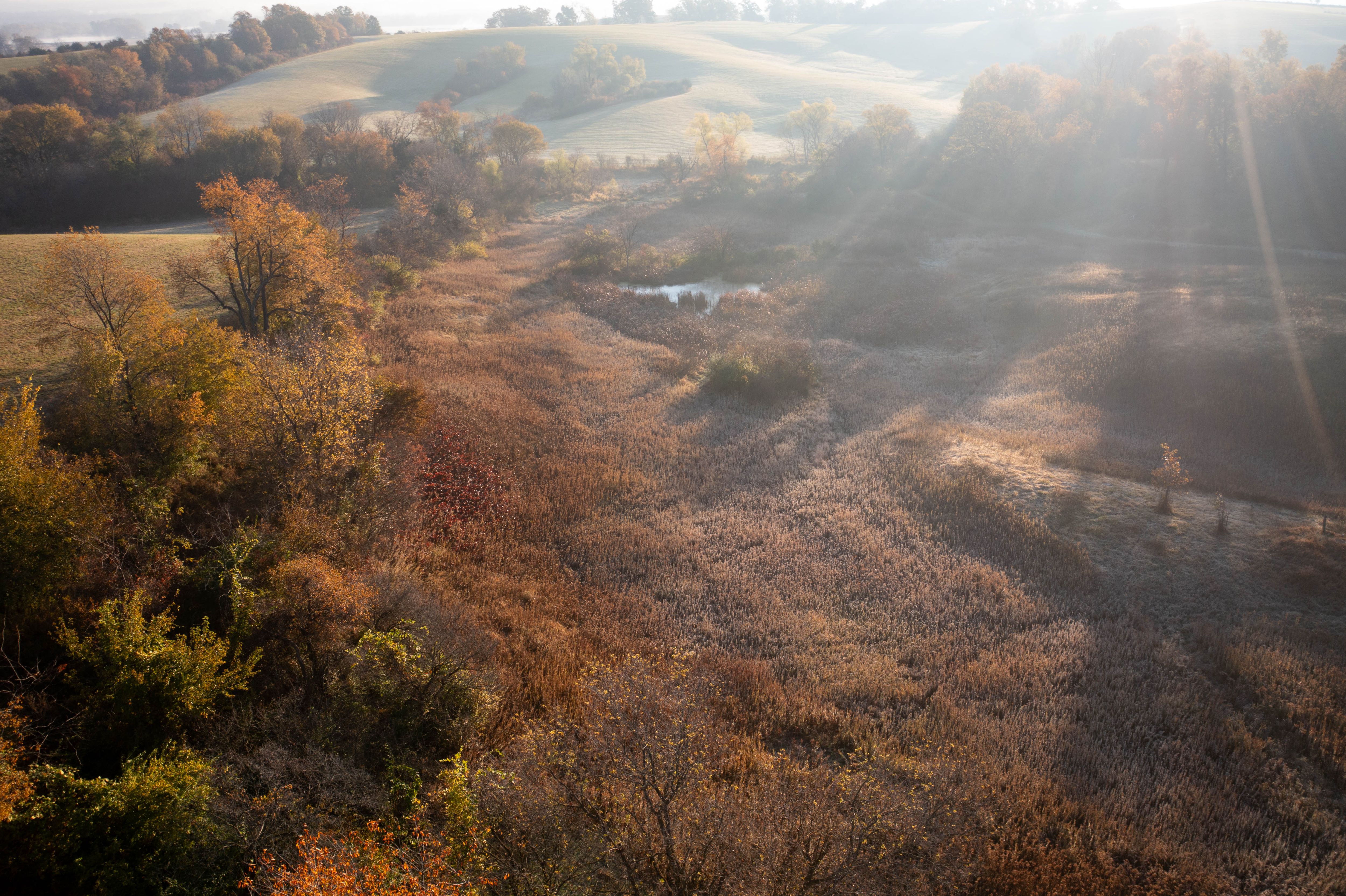 Listing Photo: DJI_0895-2