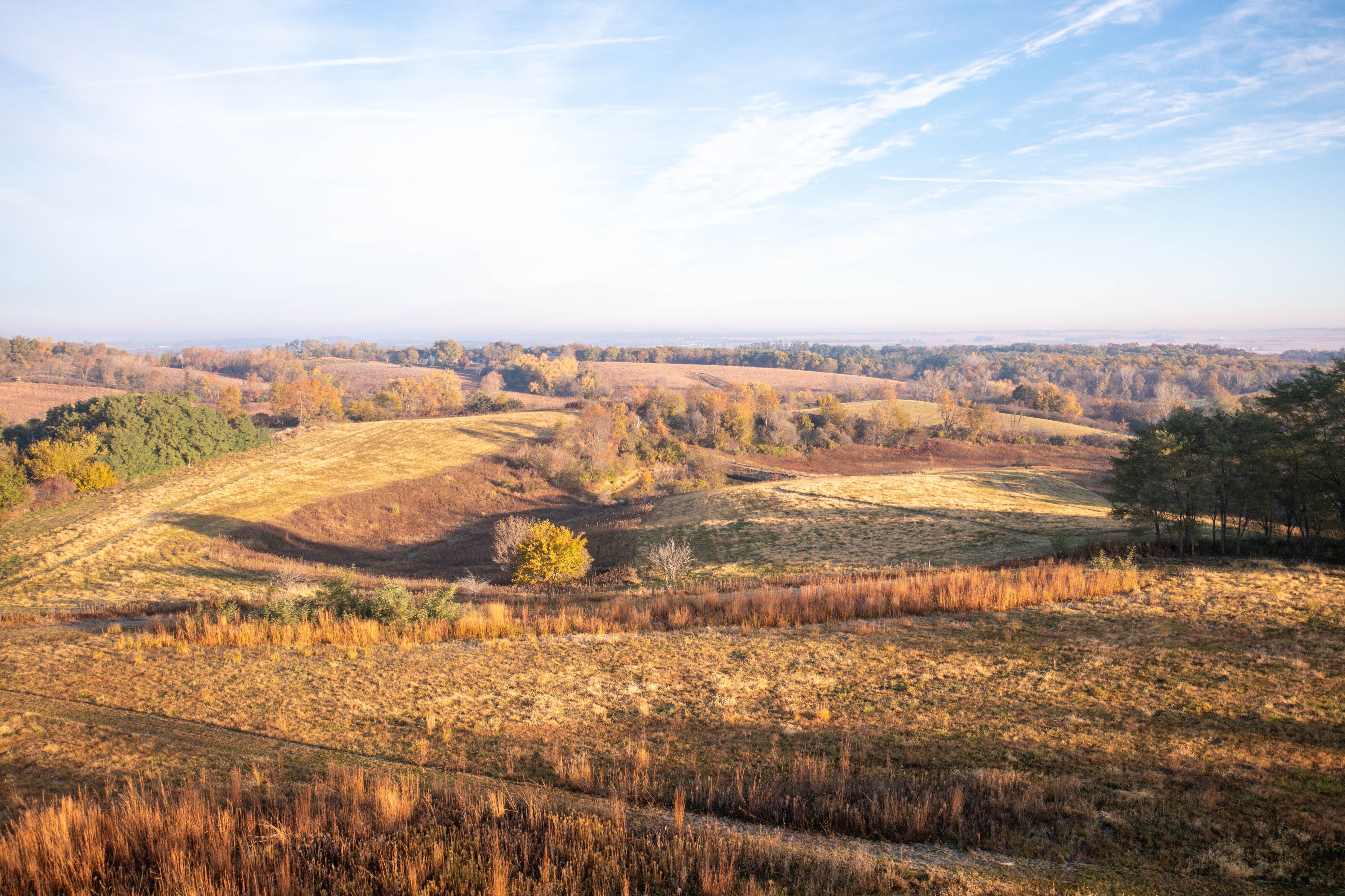 Listing Photo: DJI_0939