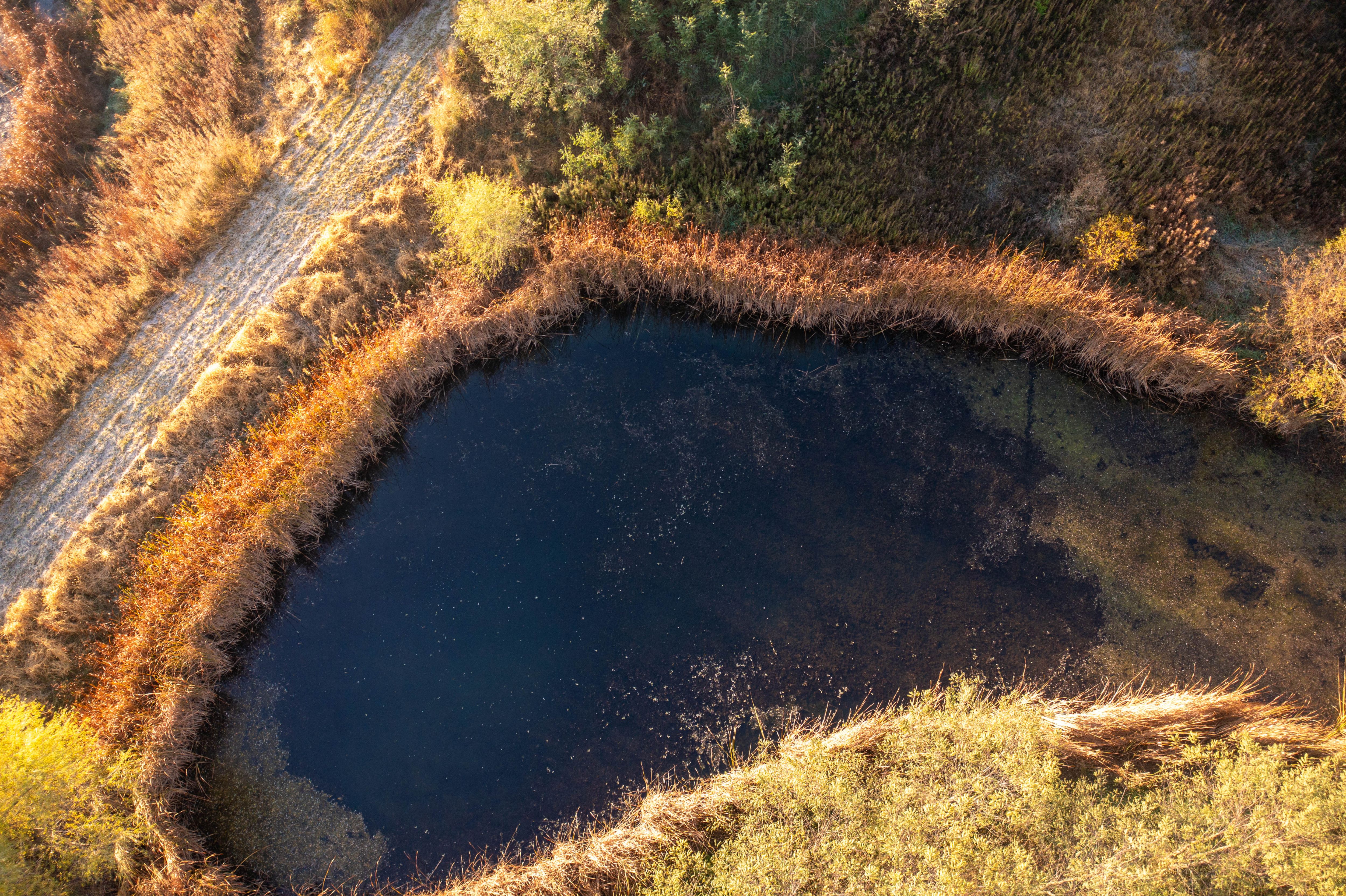 Listing Photo: DJI_0944