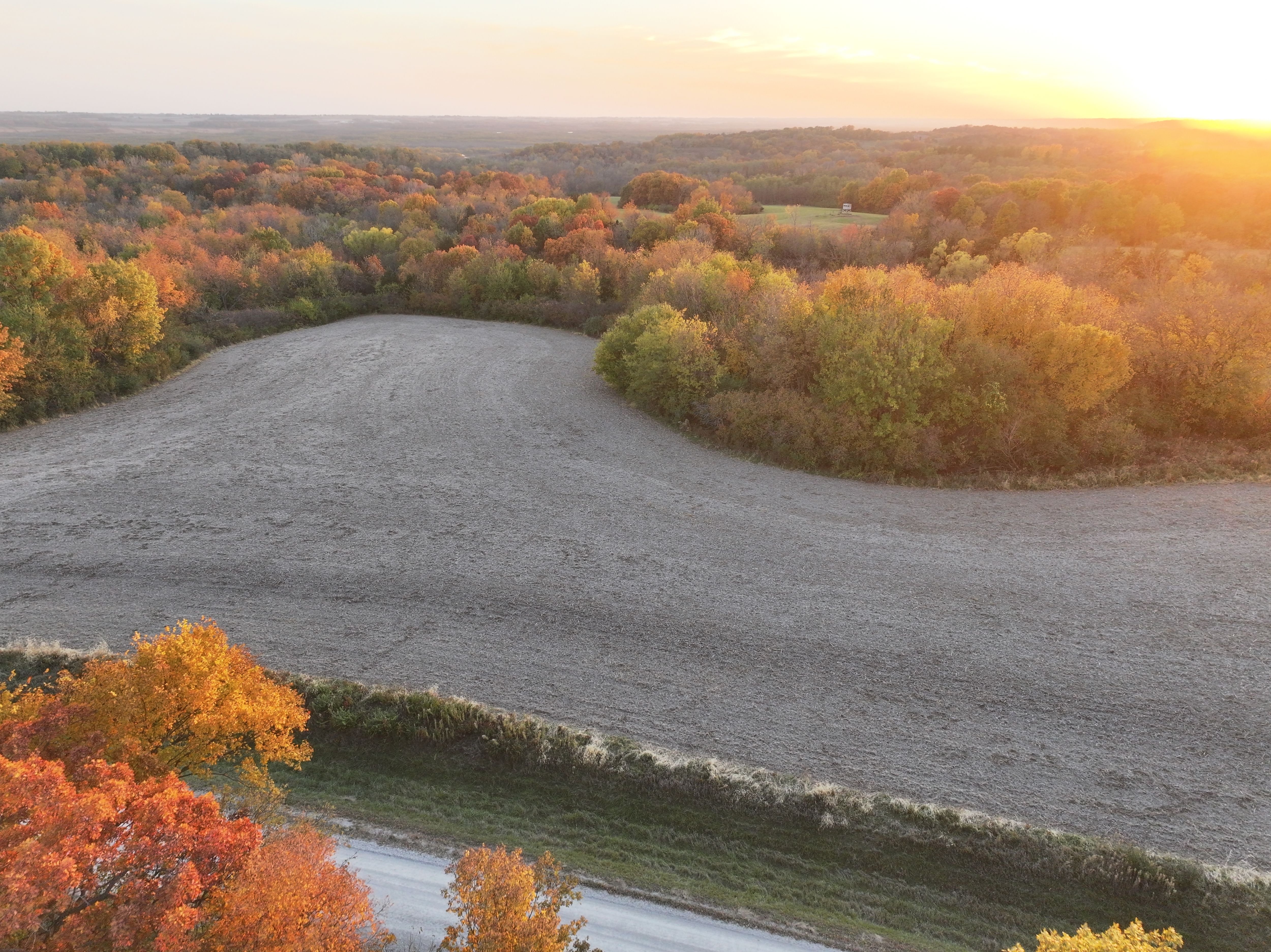 Listing Photo: DJI_20251104164803_0176_D