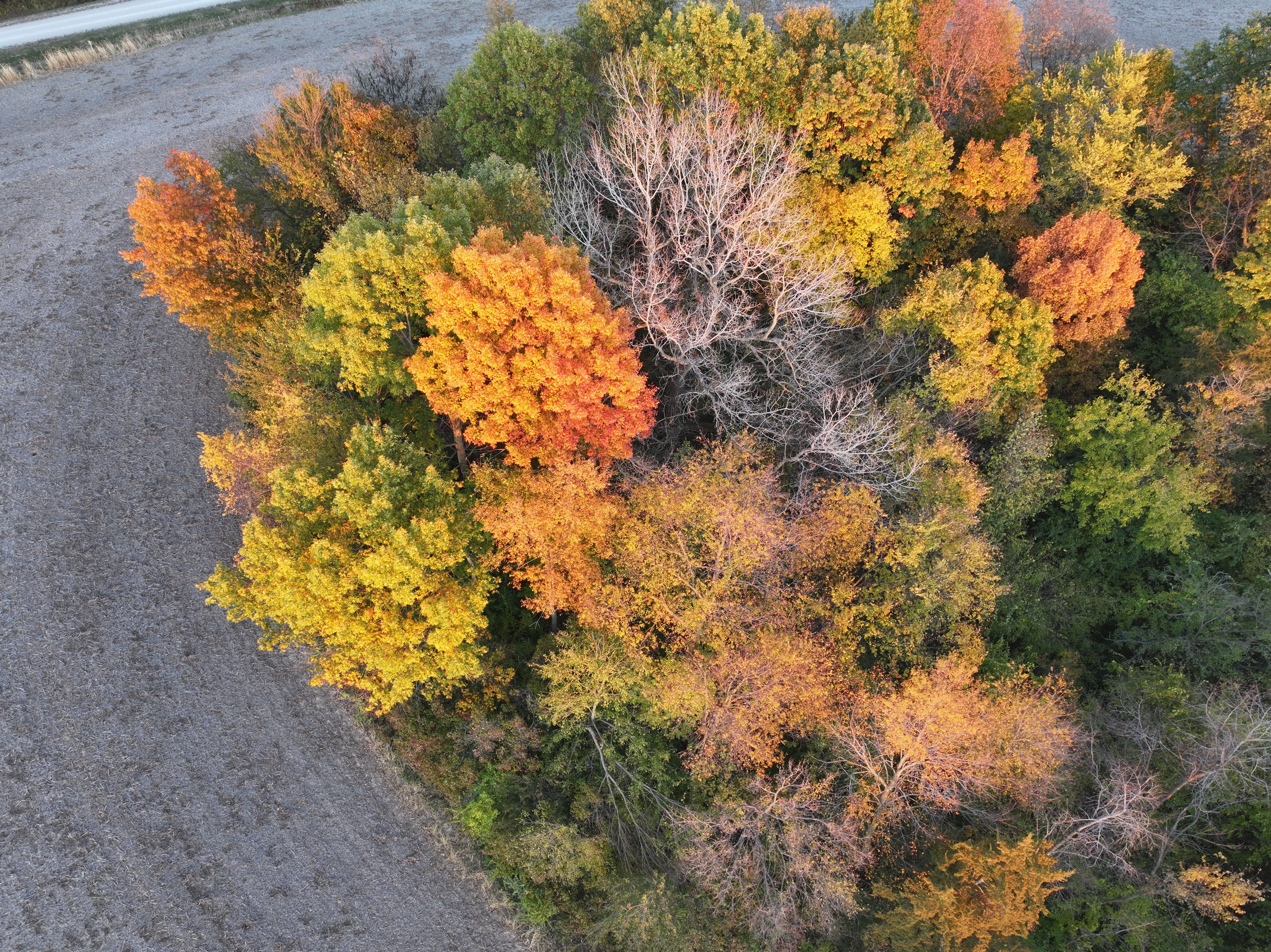 Listing Photo: DJI_20251104164852_0188_D