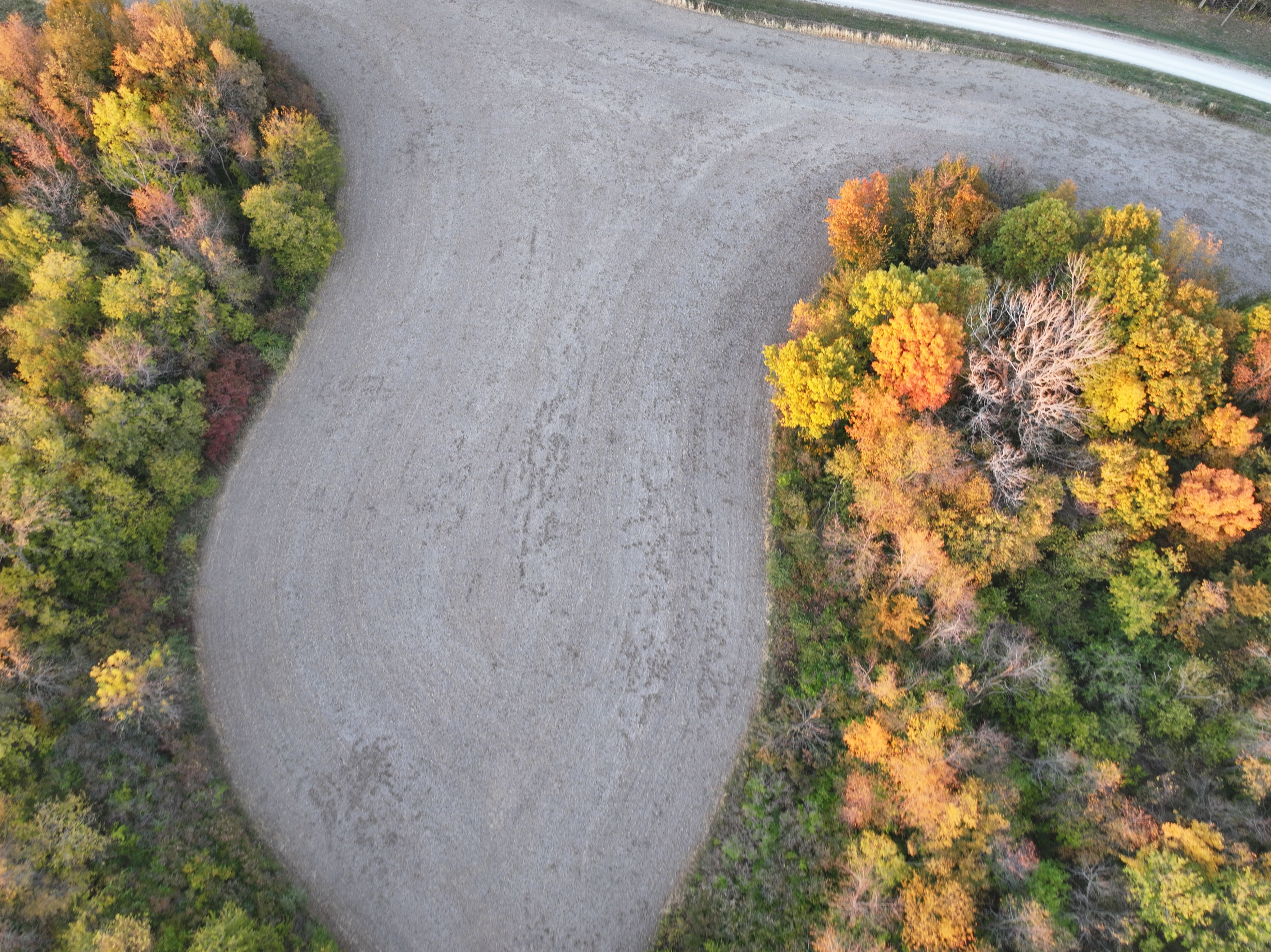 Listing Photo: DJI_20251104164925_0192_D