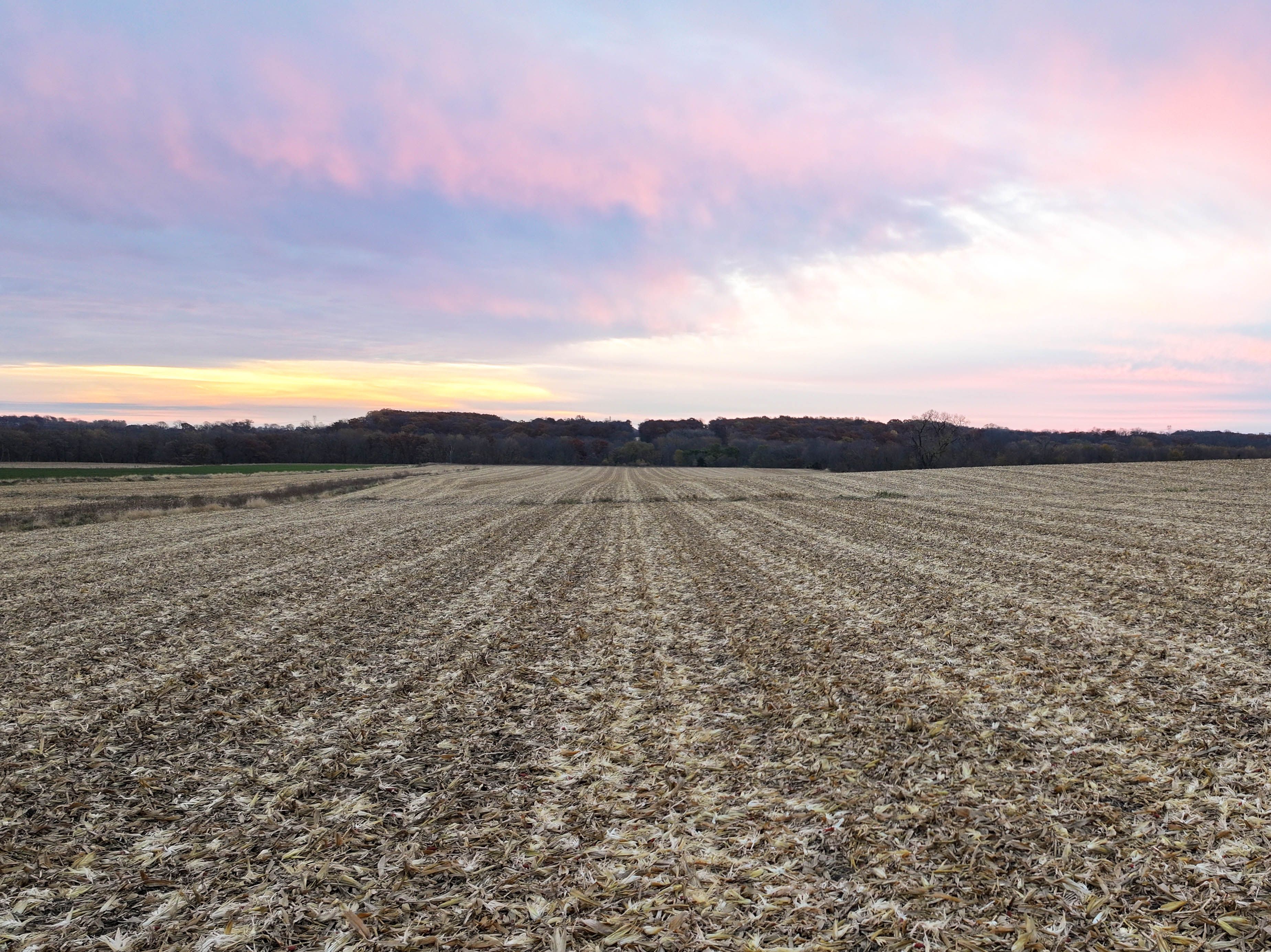Listing Photo: Iowa-Sunrise-Land-Available