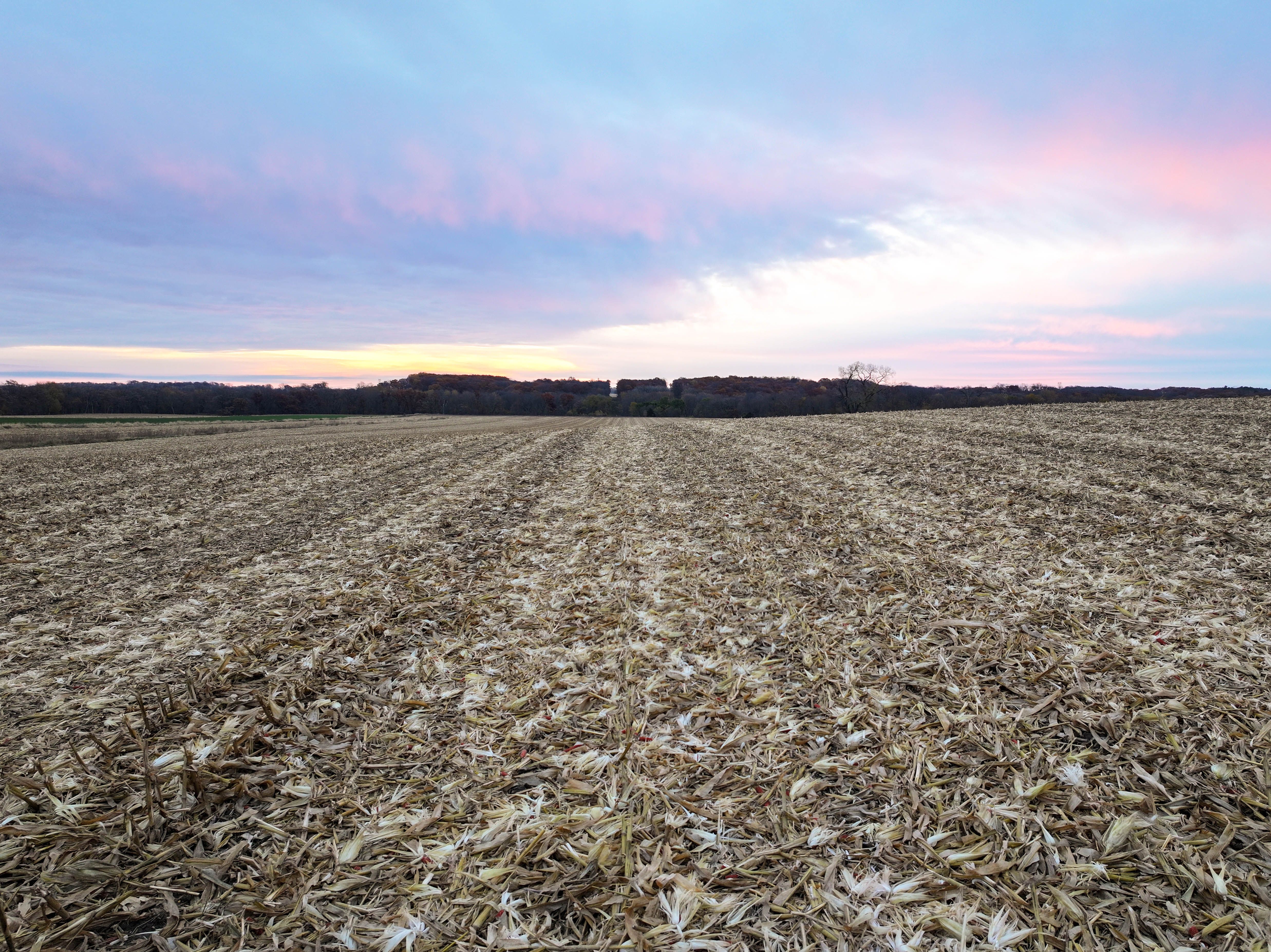 Listing Photo: Productive-Iowa-Farm-Land-Sale