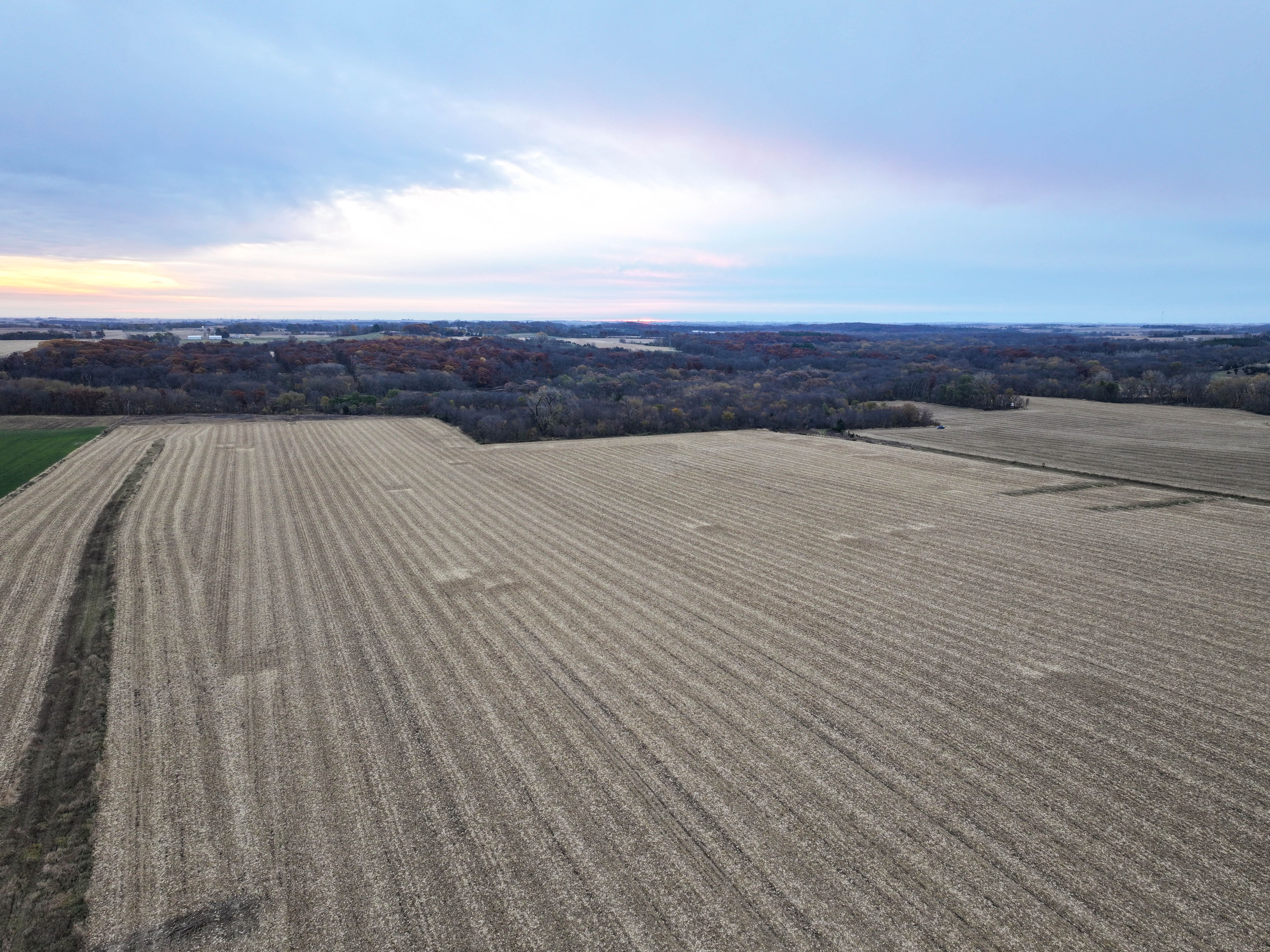 Listing Photo: Iowa-Farmland-For-Sale