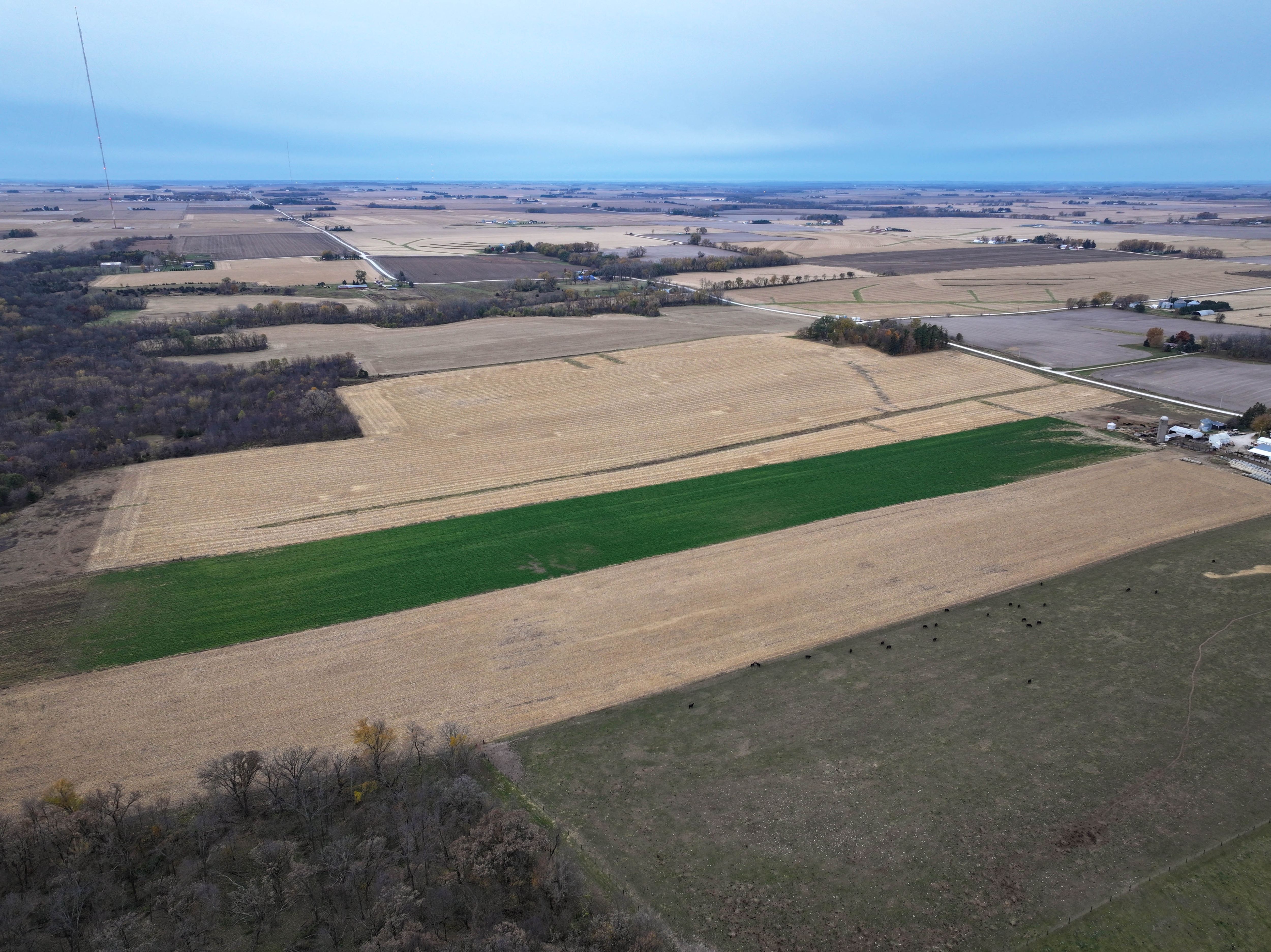 Listing Photo: Farmland-For-Sale-In-Iowa