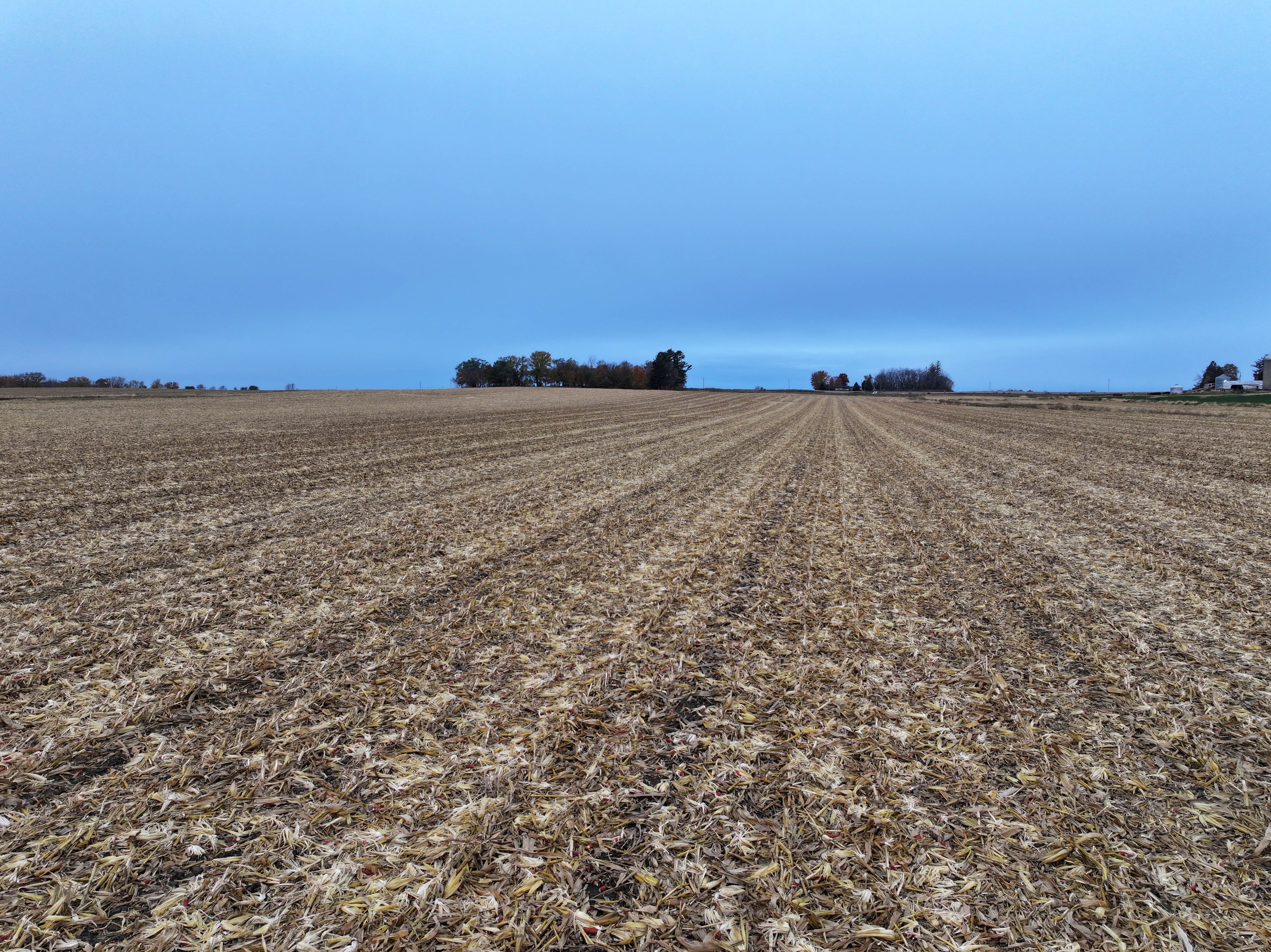 Listing Photo: Buchanan-County-Iowa-Farmland-For-Sale