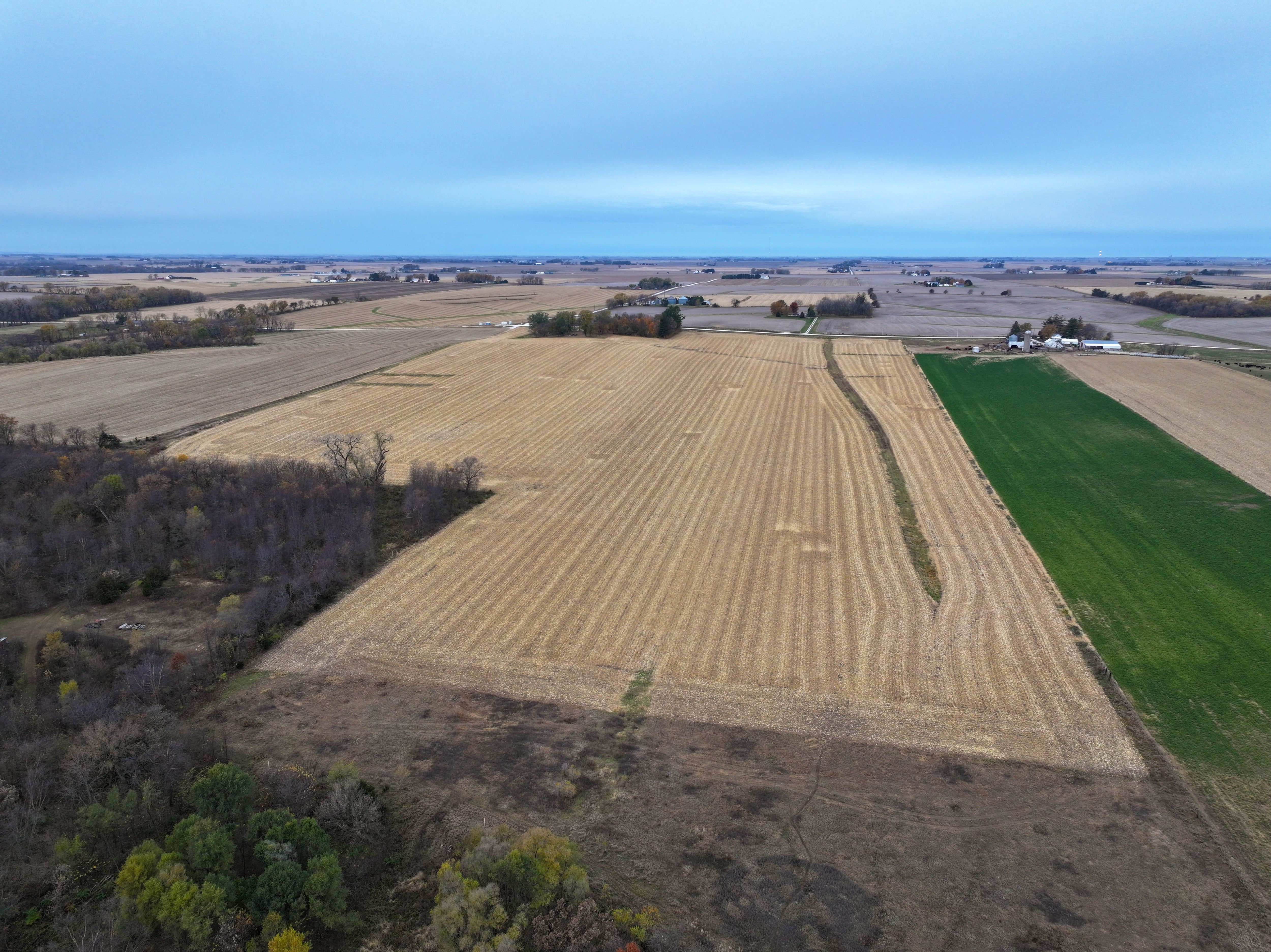 Listing Photo: Productive-Land-Sale