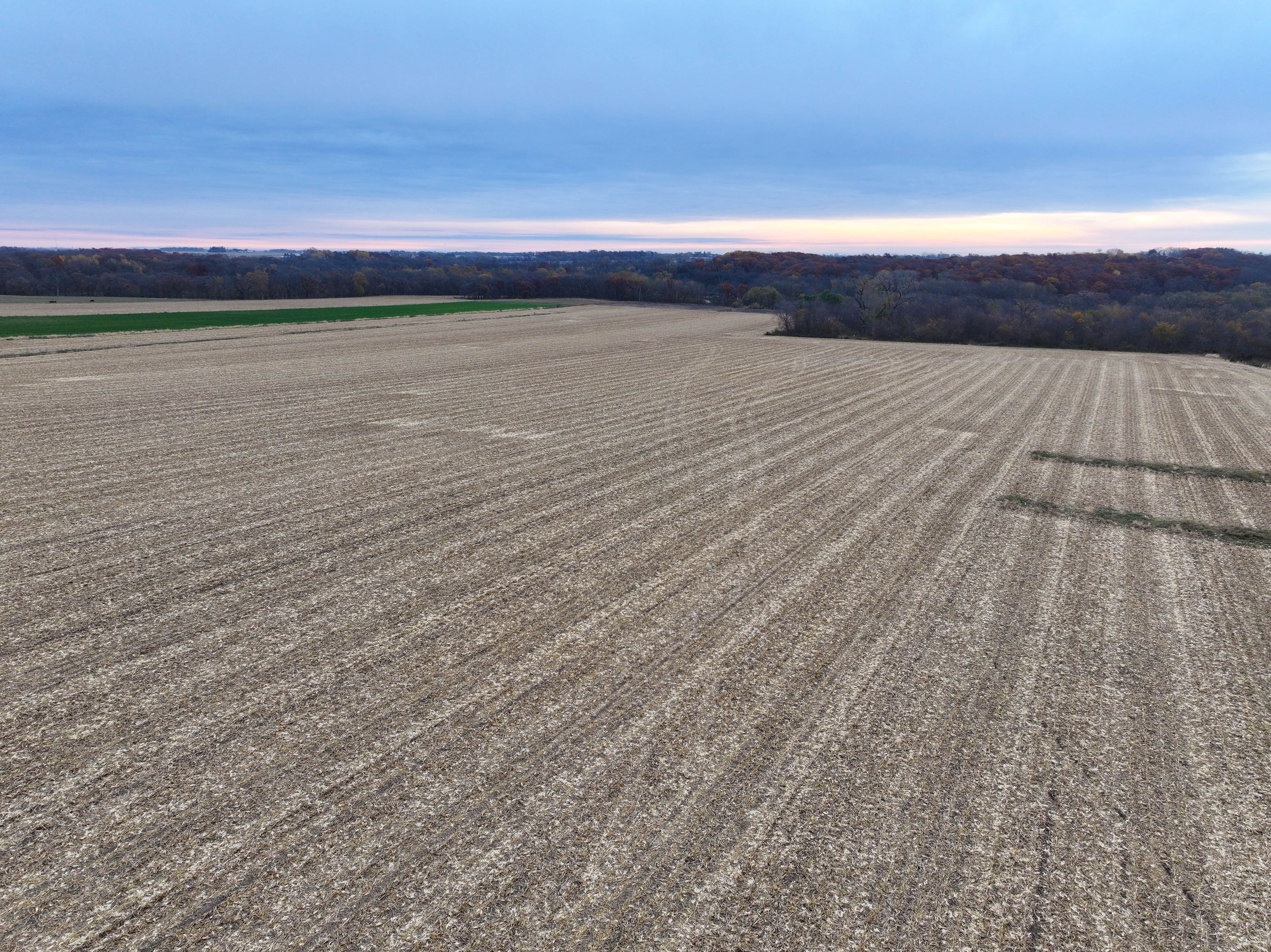 Listing Photo: Farmland-For-Sale