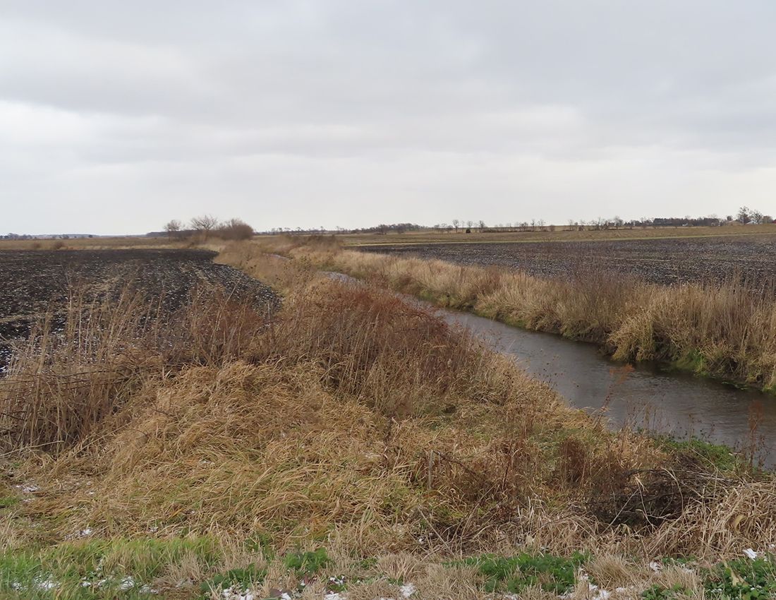 Listing Photo: Cosman Farm, looking east
