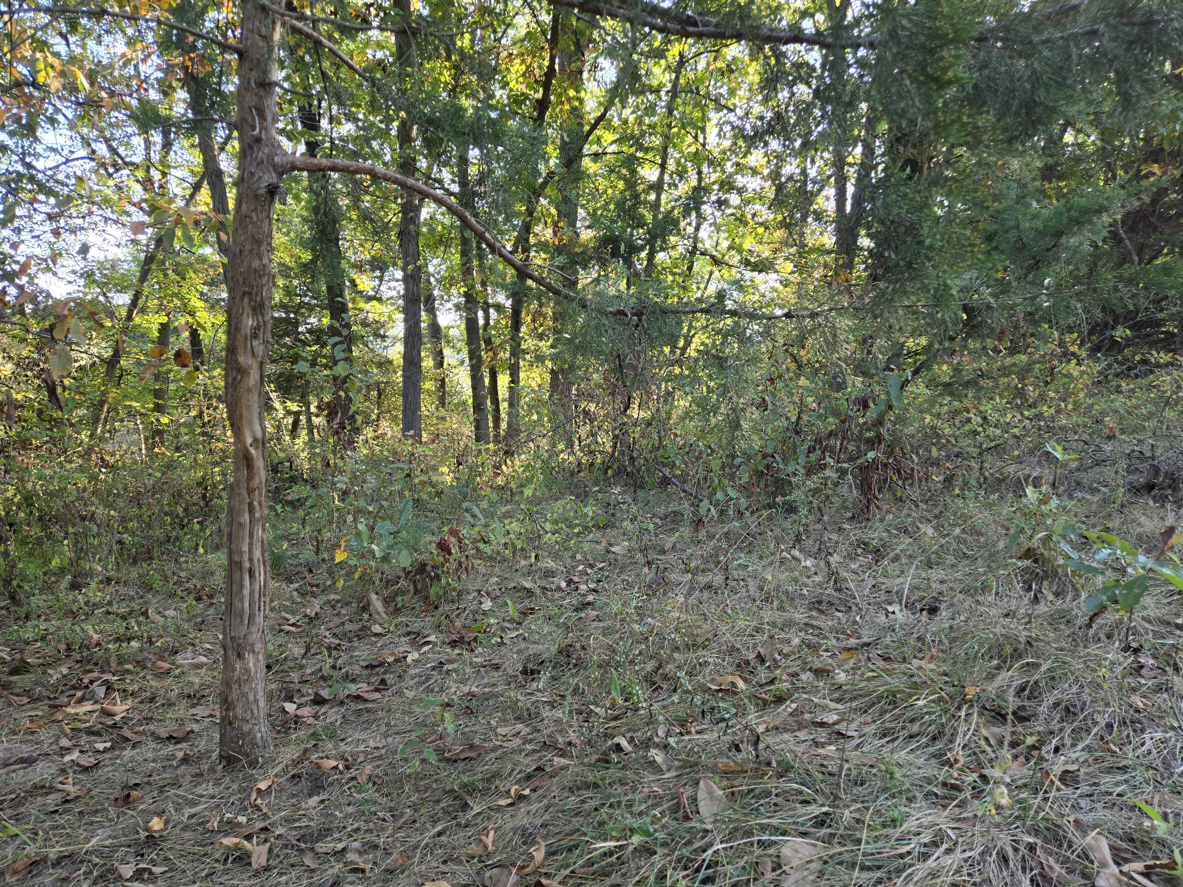 Listing Photo: 18661-20251003_094136