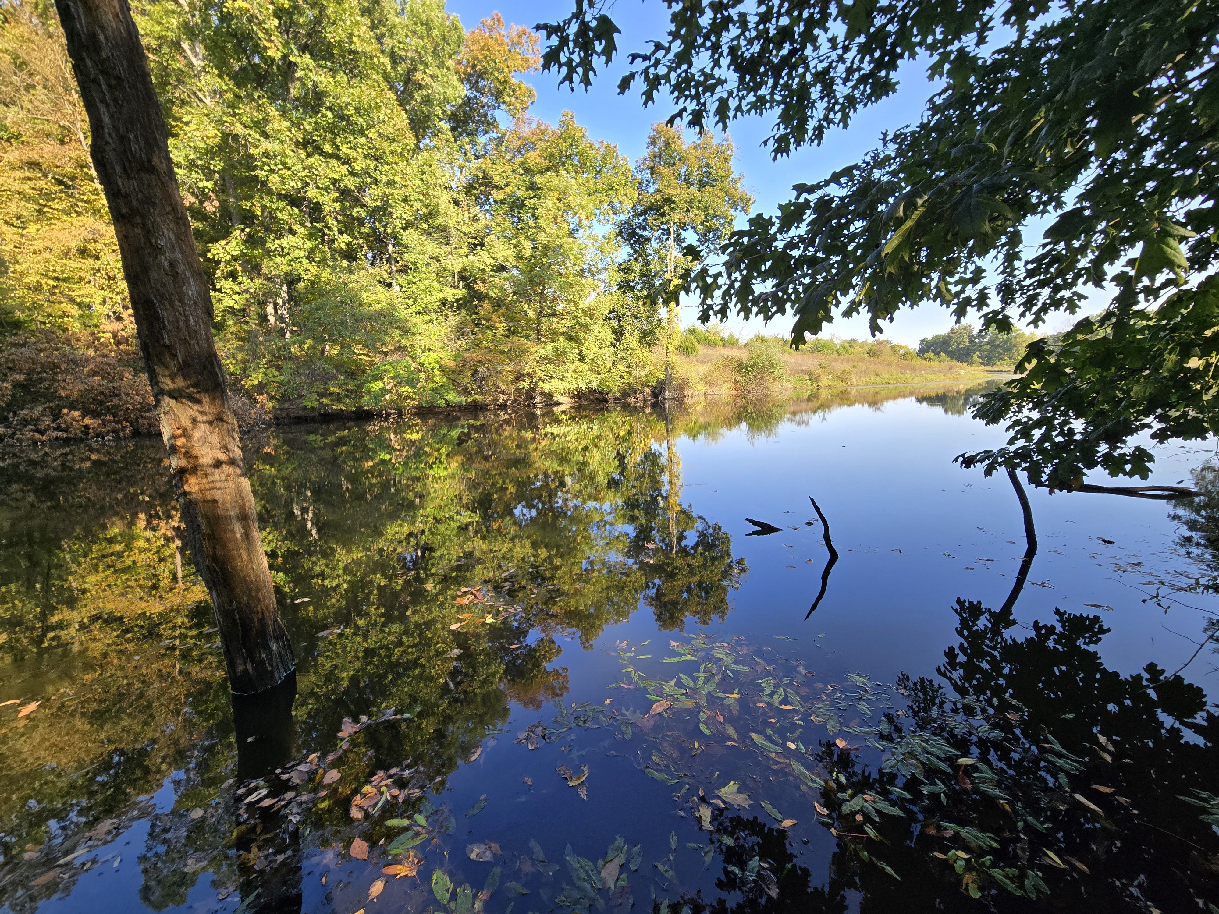 Listing Photo: 18661-20251003_094517