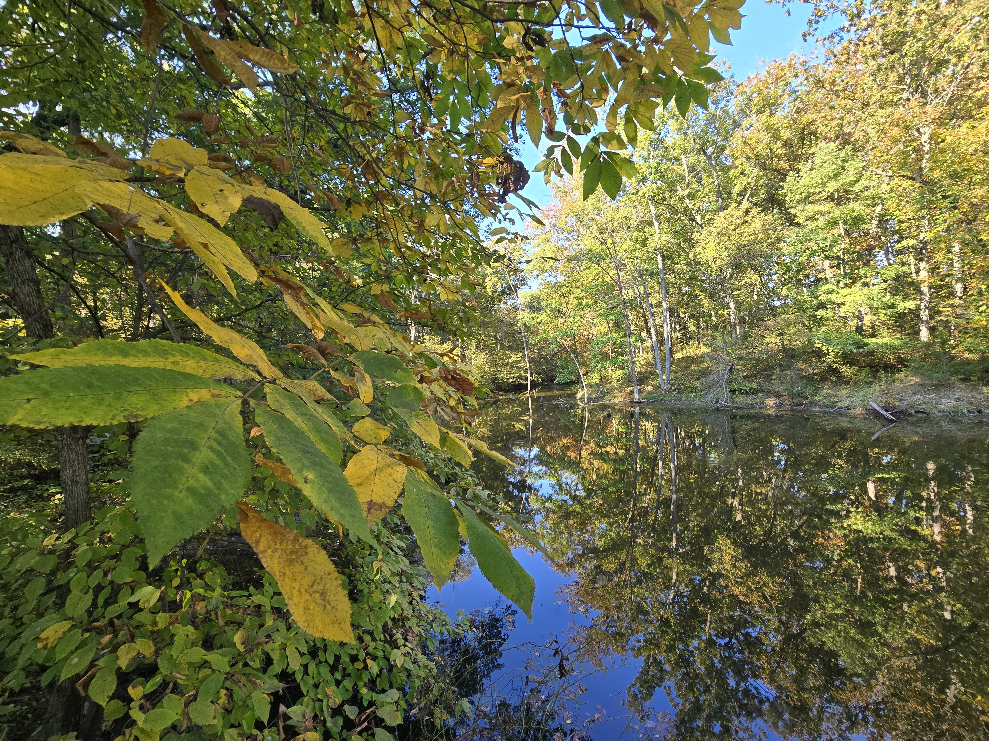 Listing Photo: 18661-20251003_094537