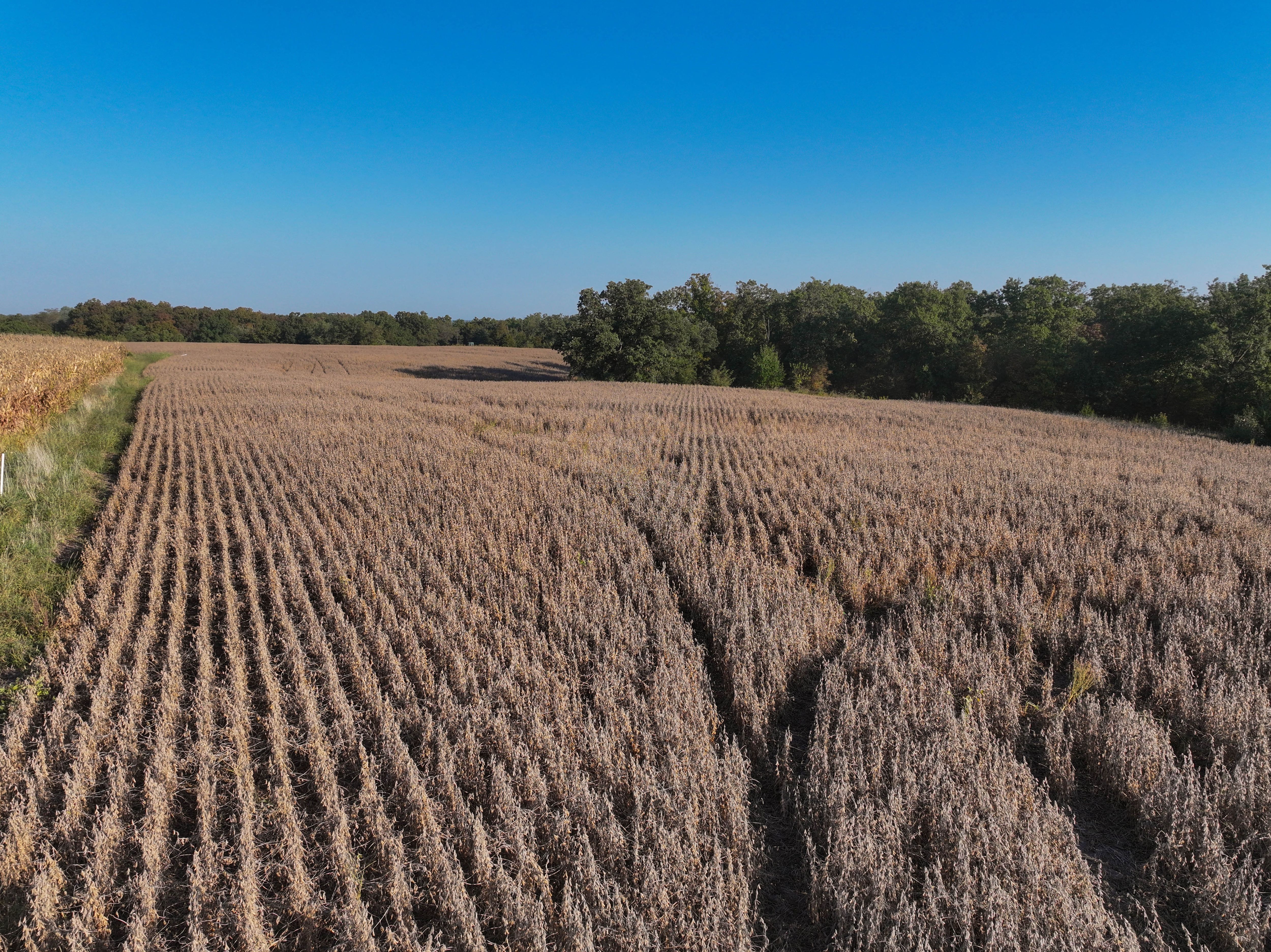 Listing Photo: 18661-DJI_20251003085549_0105_D