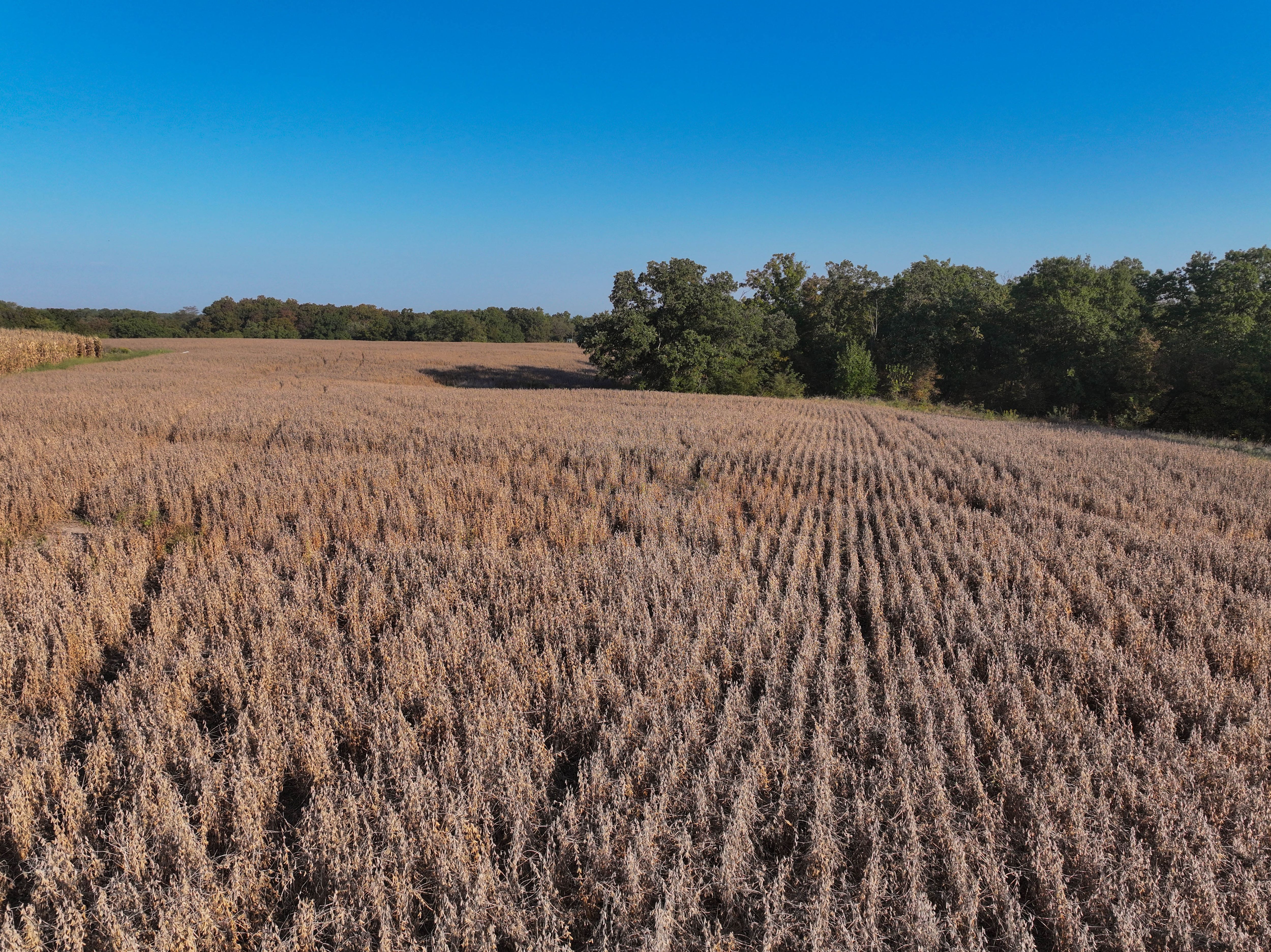 Listing Photo: 18661-DJI_20251003085605_0107_D