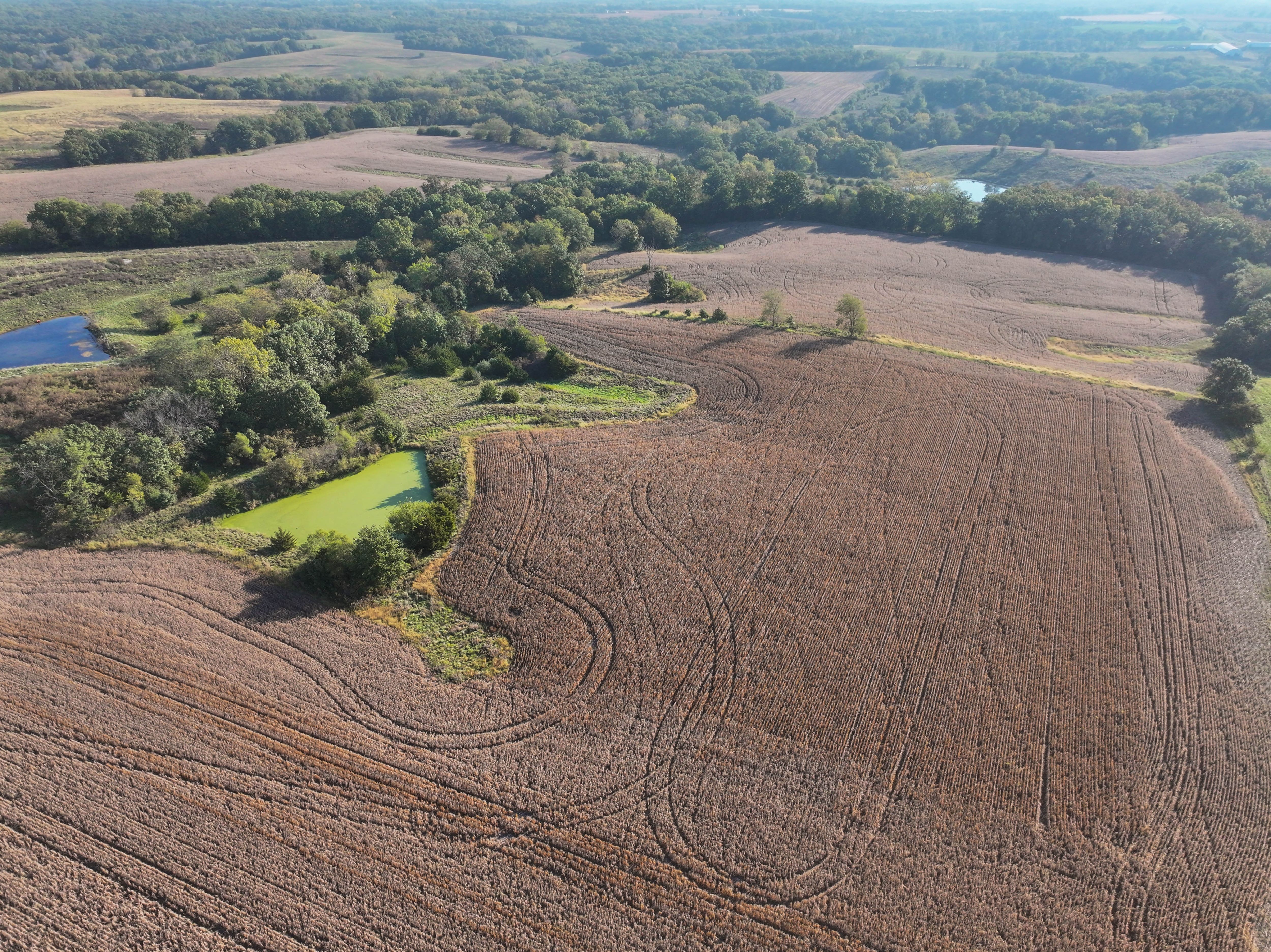 Listing Photo: 18661-DJI_20251003090645_0127_D