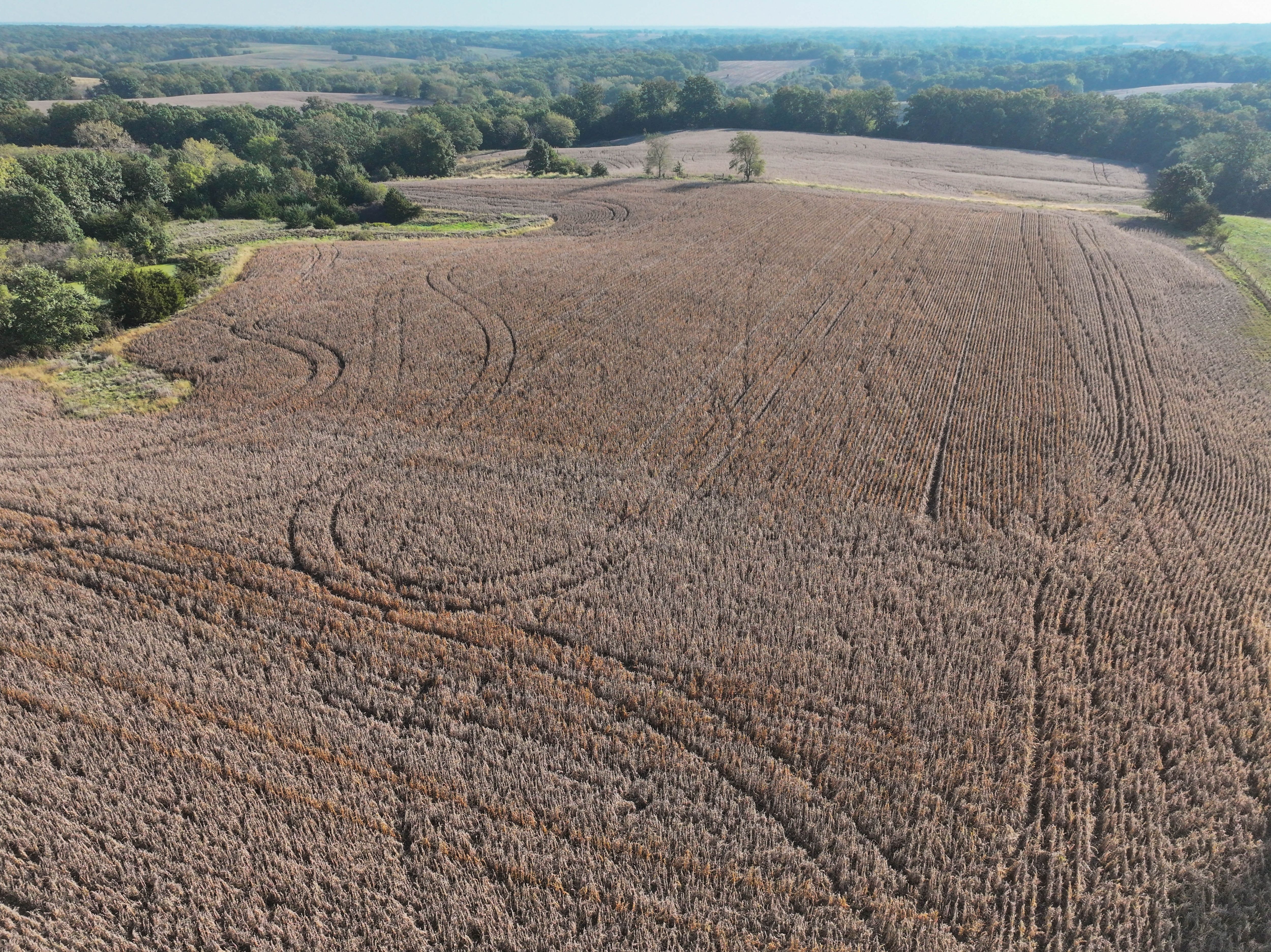 Listing Photo: 18661-DJI_20251003090657_0128_D