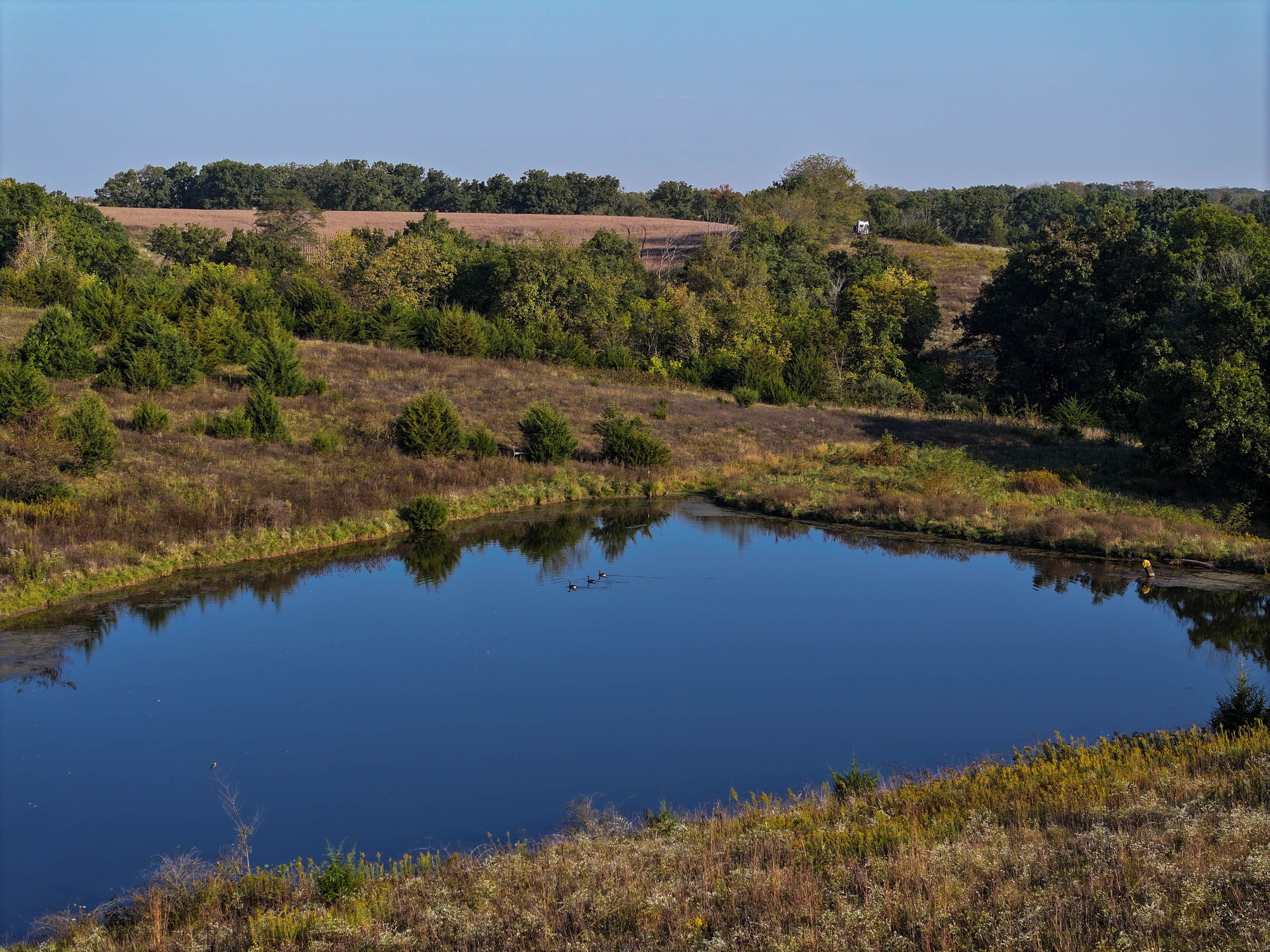 Listing Photo: 18661-DJI_20251003091122_0143_D