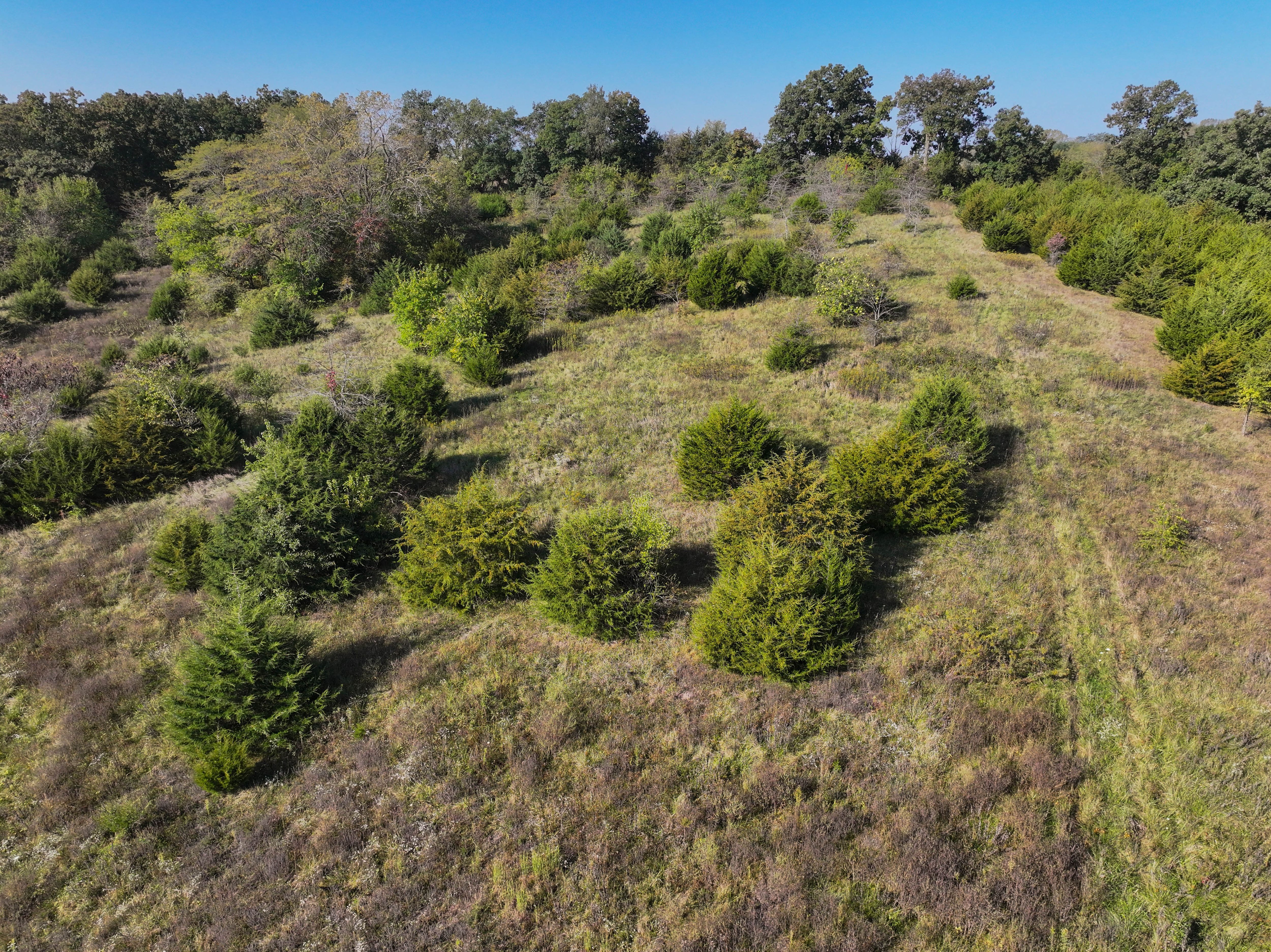 Listing Photo: 18661-DJI_20251003100034_0166_D