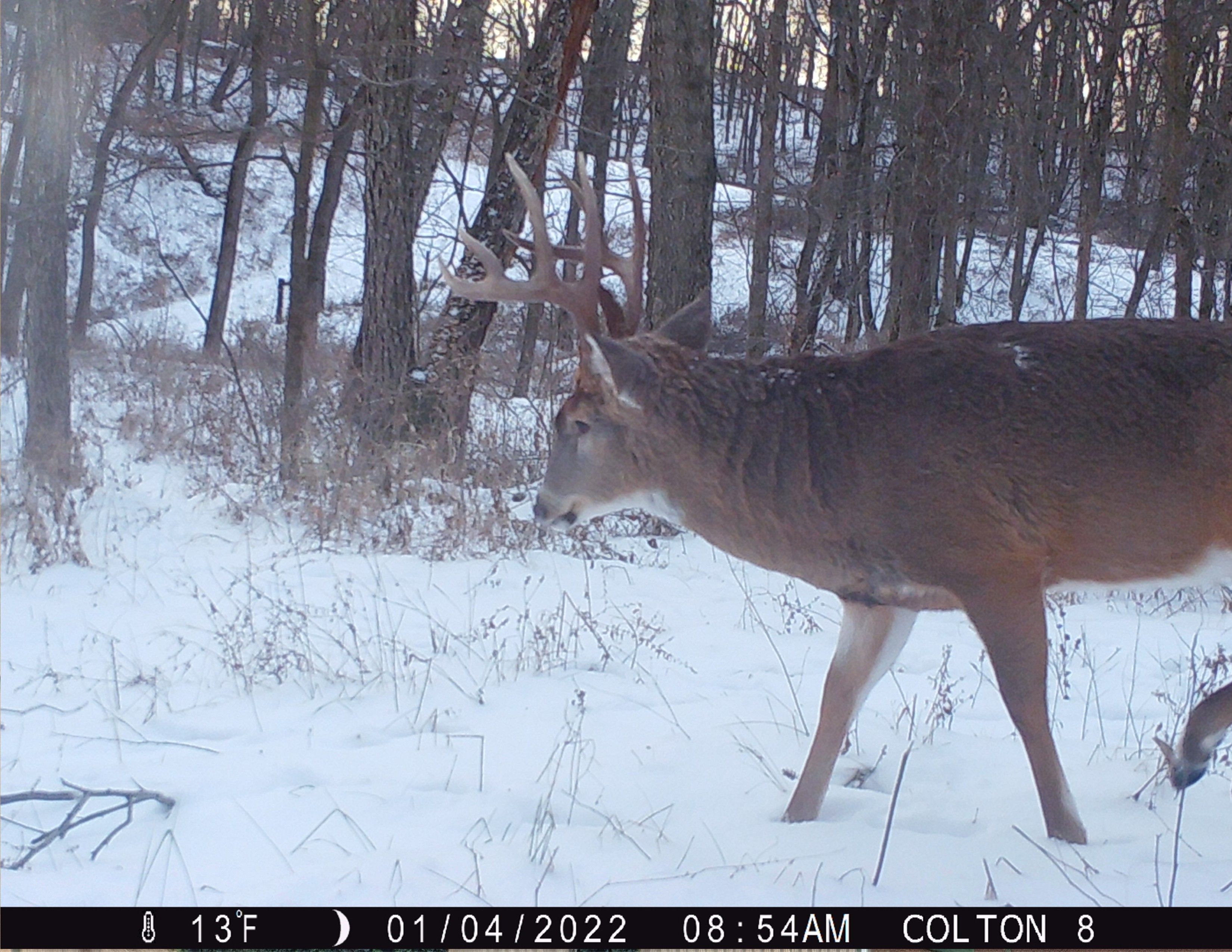 Listing Photo: 18661-IMG_0823