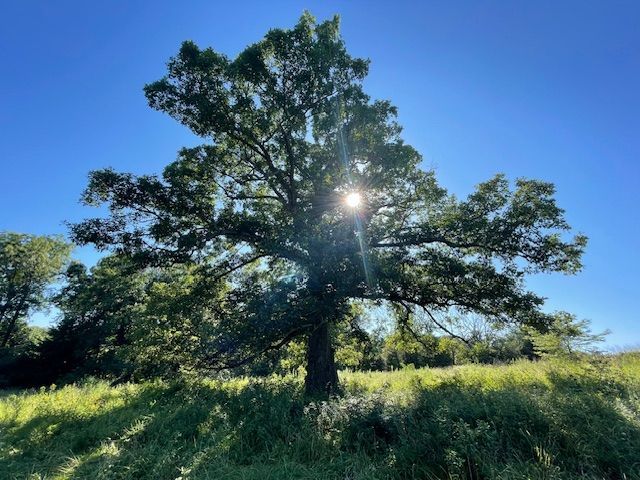 Listing Photo: 18661-IMG_4228